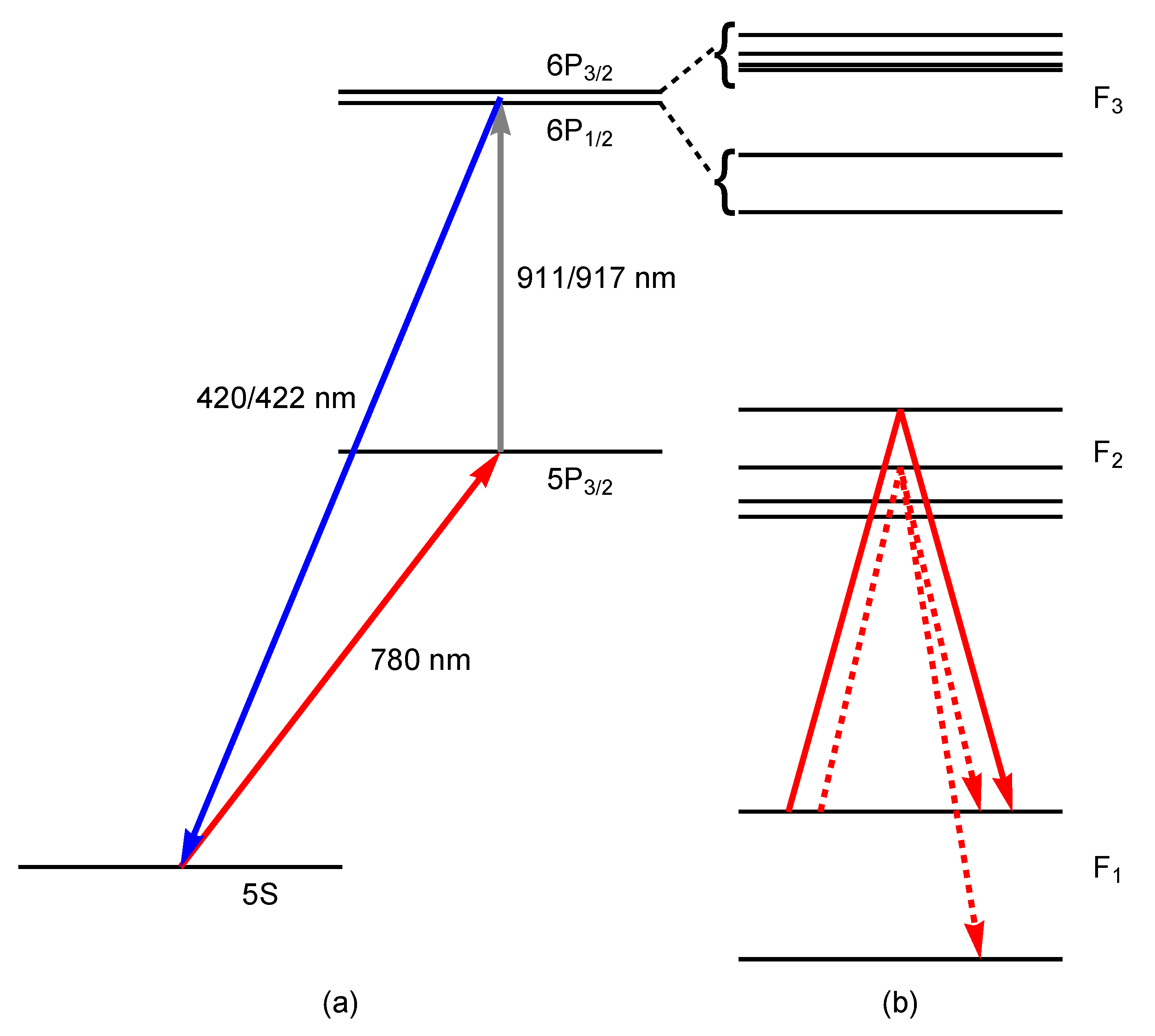 Photonics 10 01335 g001