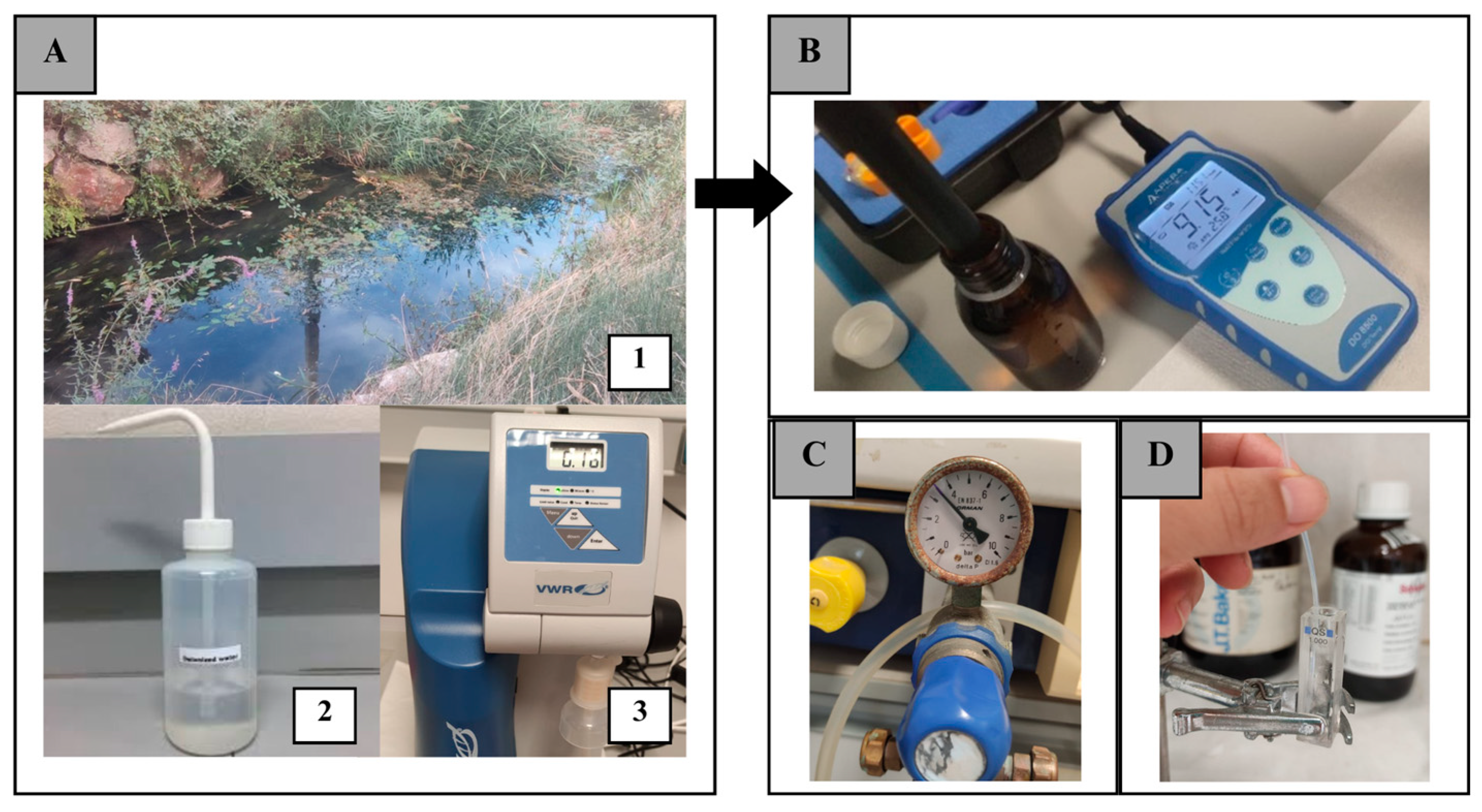 Photonics 10 01336 g001