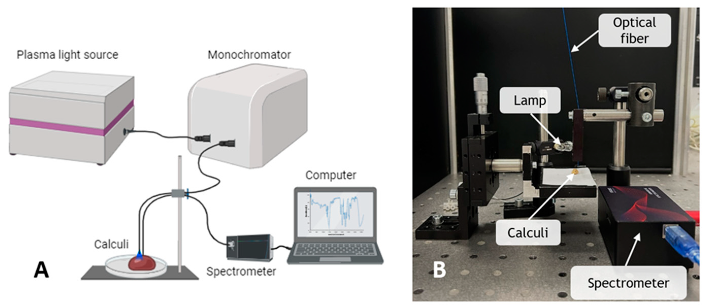 Photonics 10 01353 g001