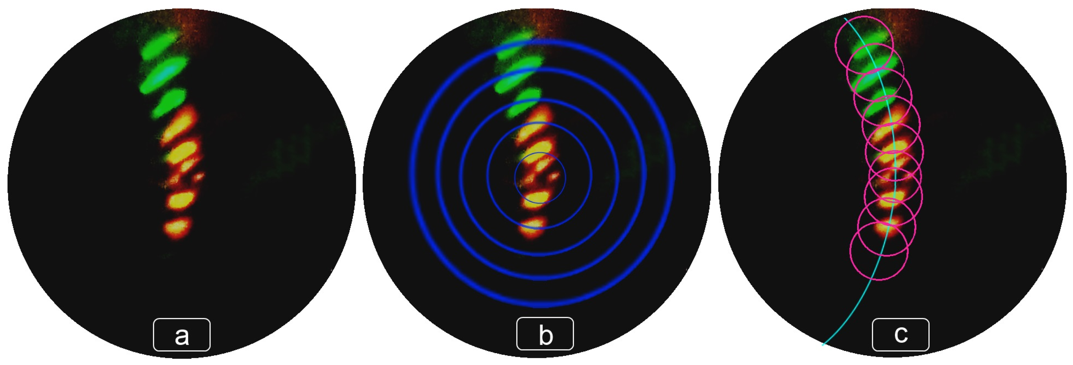 Photonics 10 01355 g003