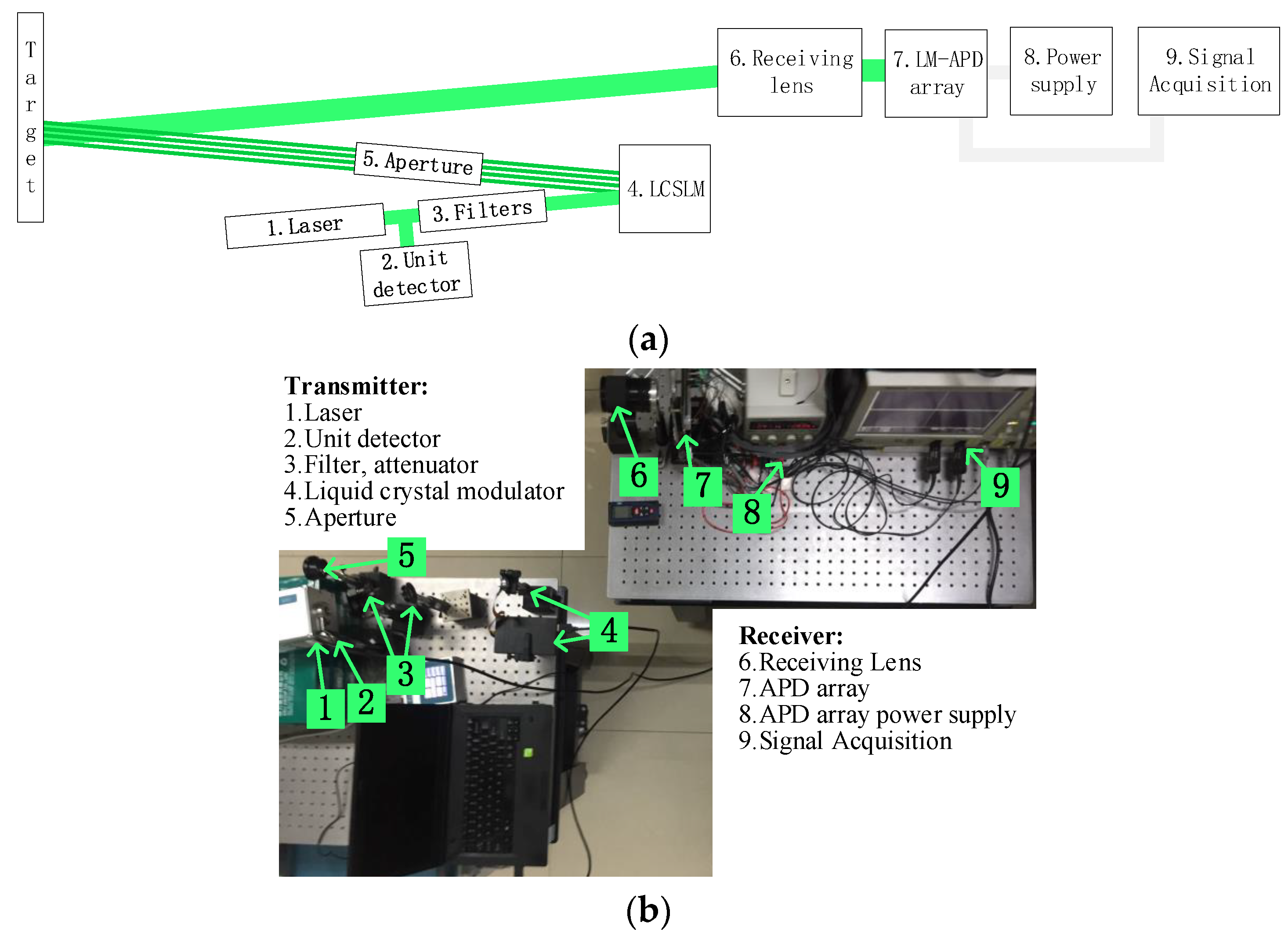 Photonics 10 01360 g019