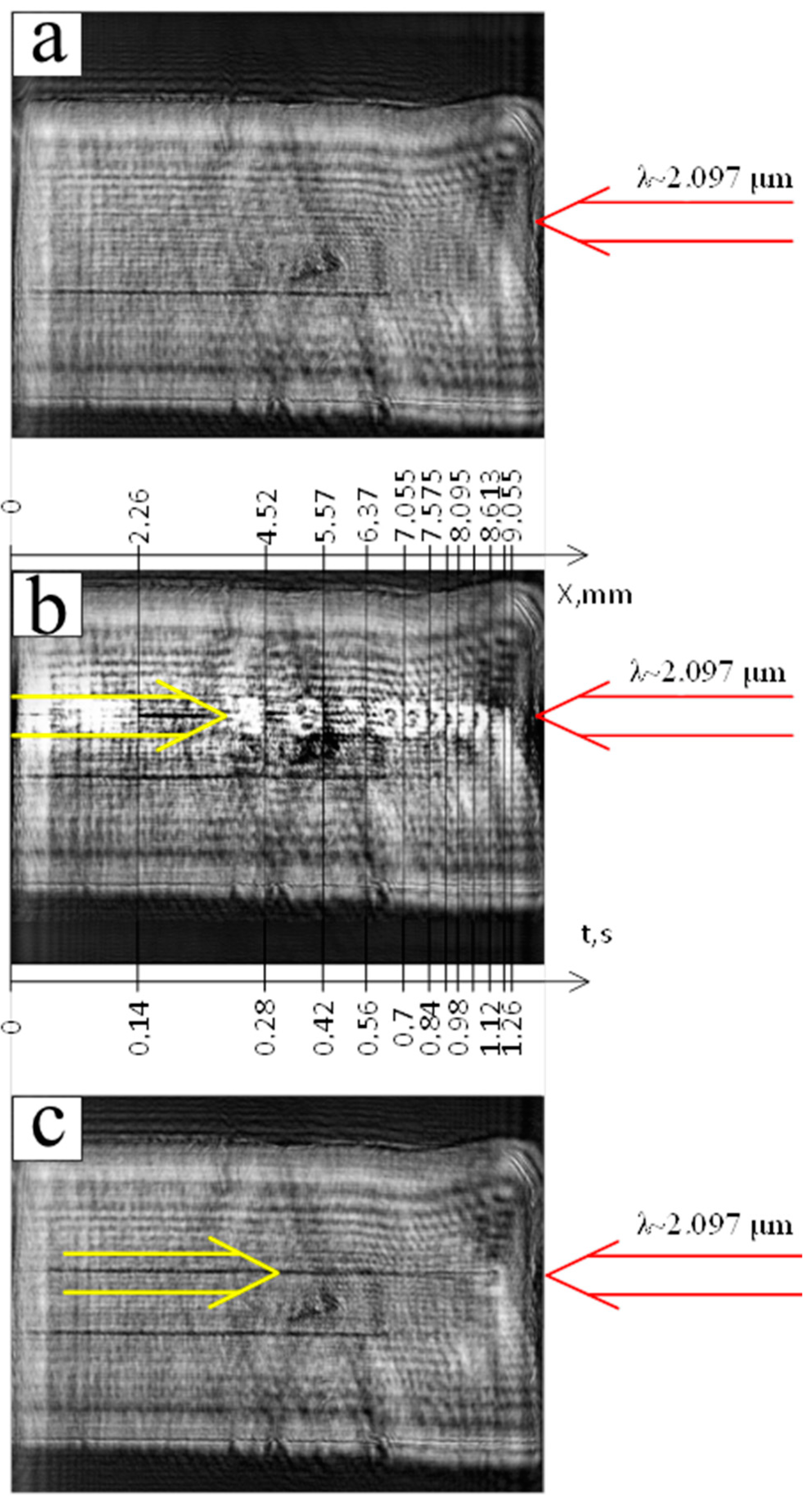 Photonics 10 01364 g010