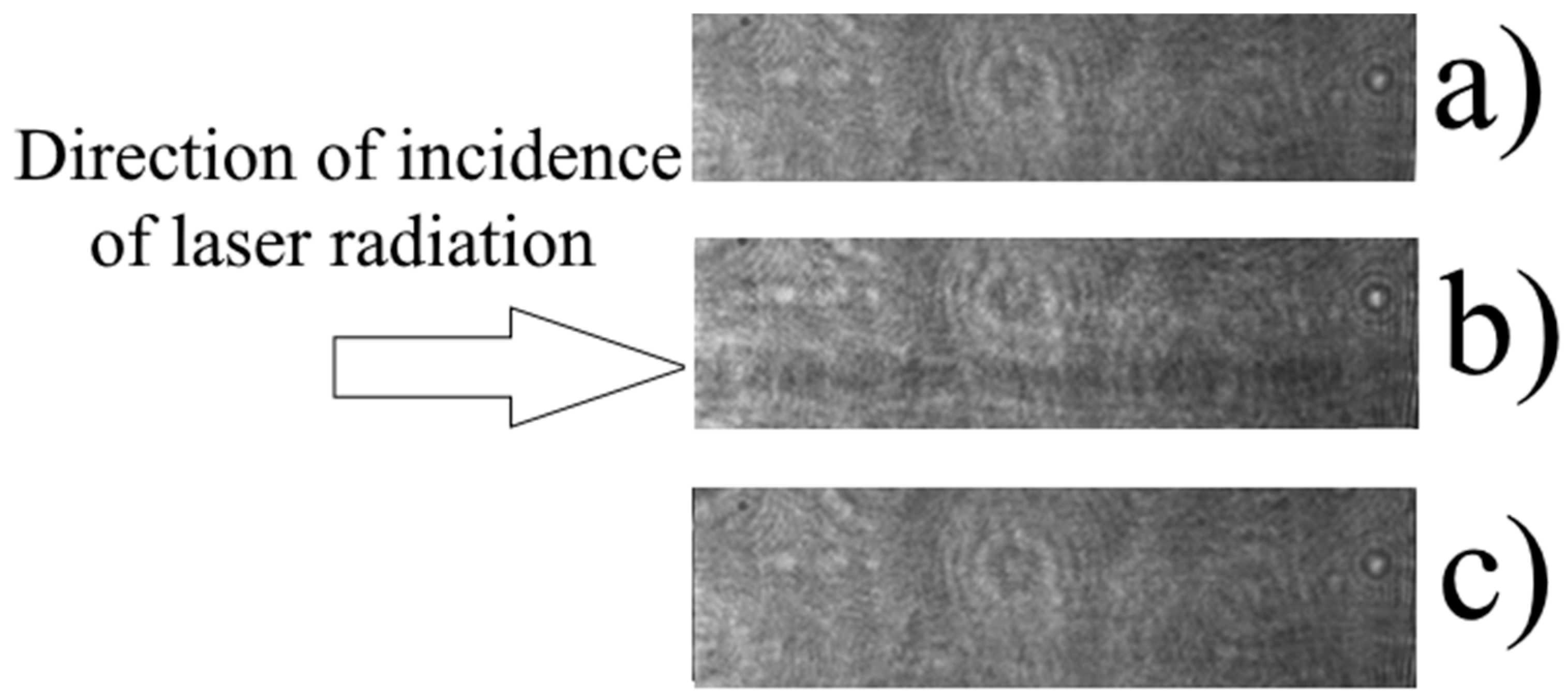 Photonics 10 01364 g014