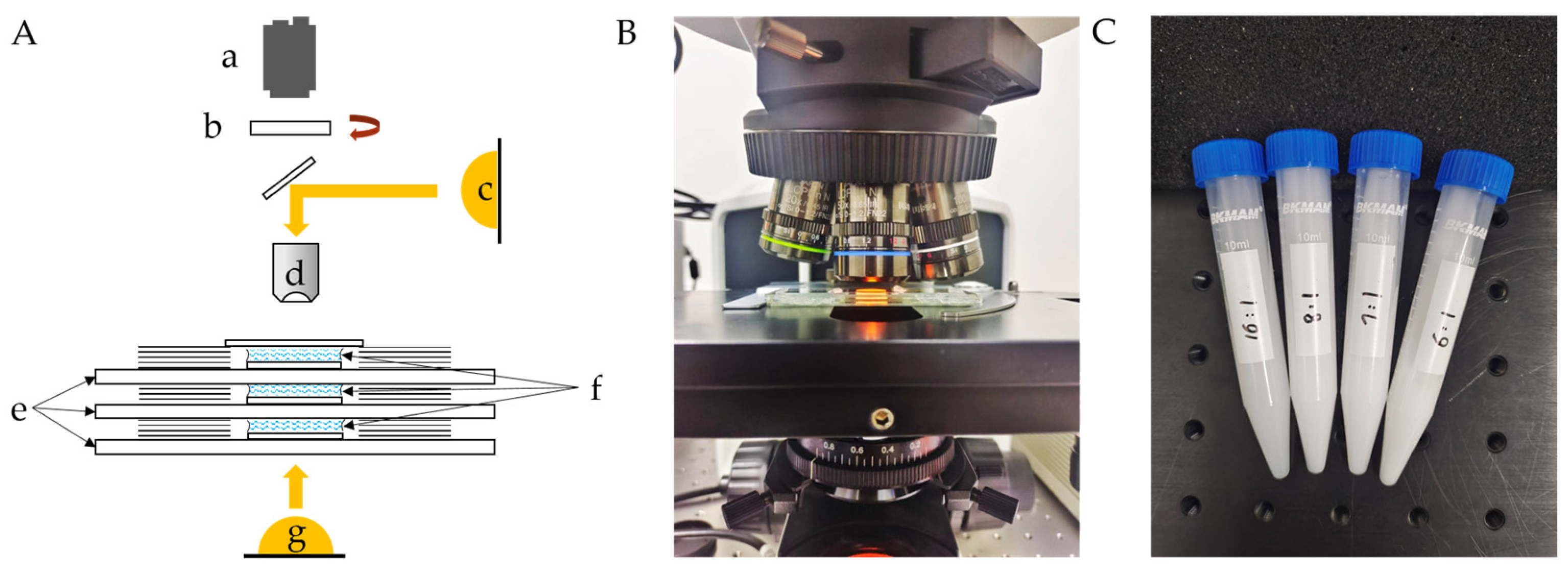 Photonics 10 01374 g001