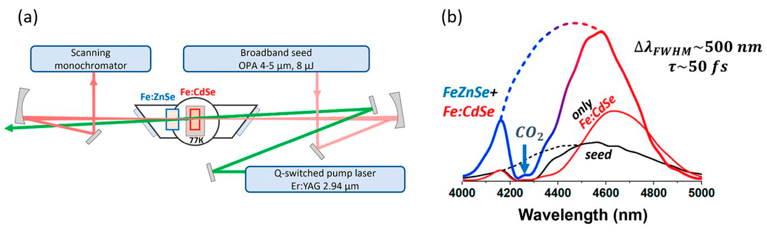 Photonics 10 01375 g004