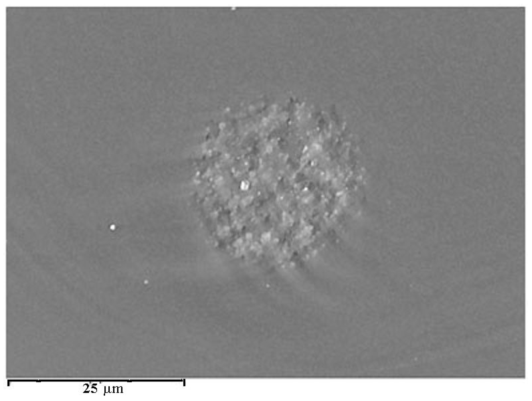 Photonics 10 01383 g006