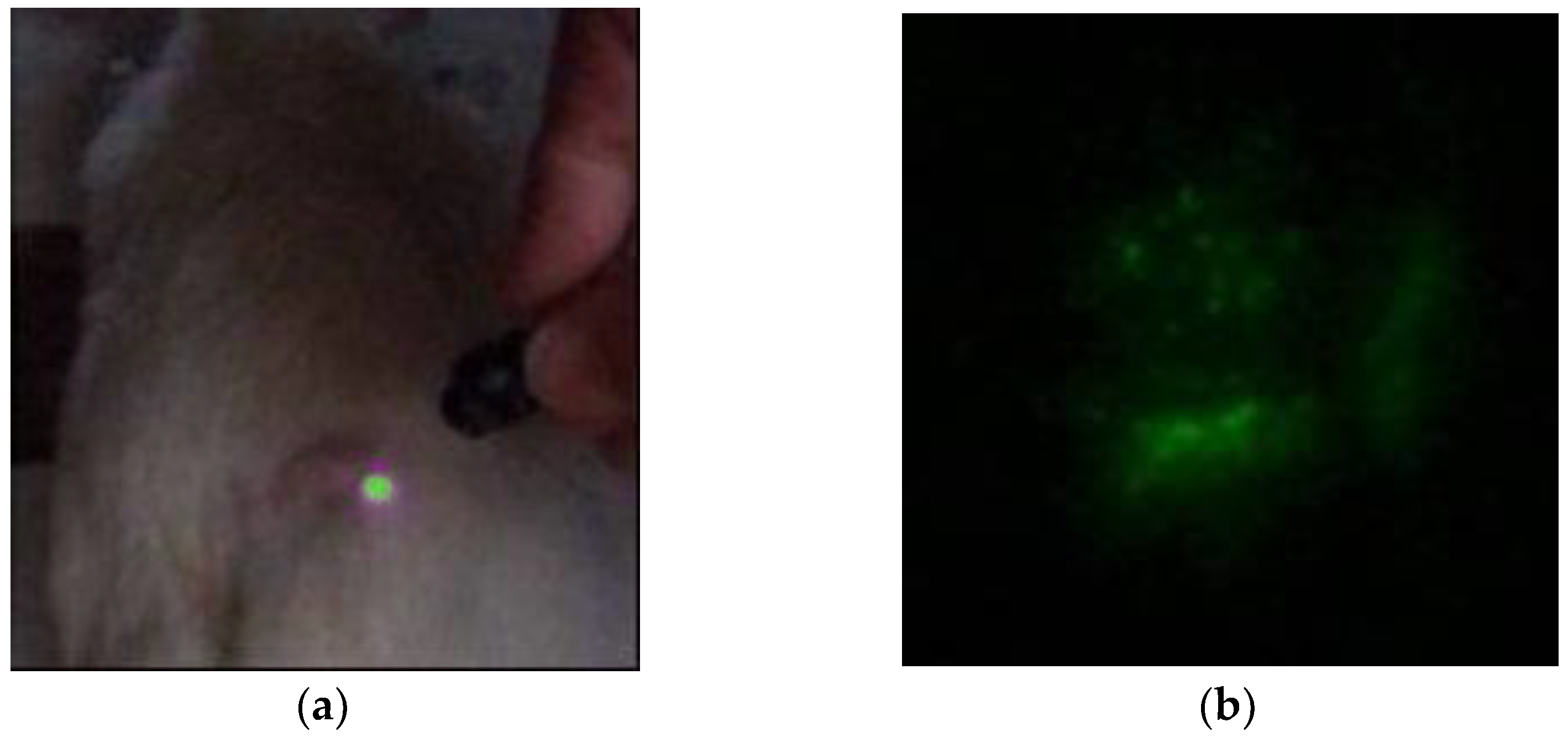 Photonics 10 01386 g004