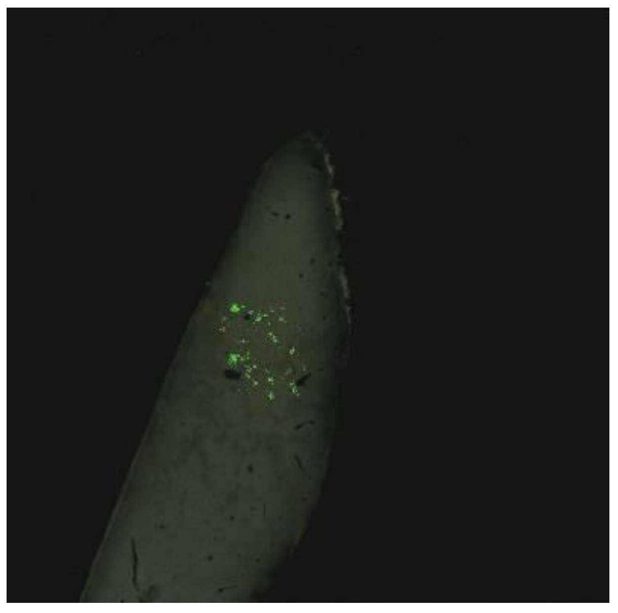 Photonics 10 01386 g005