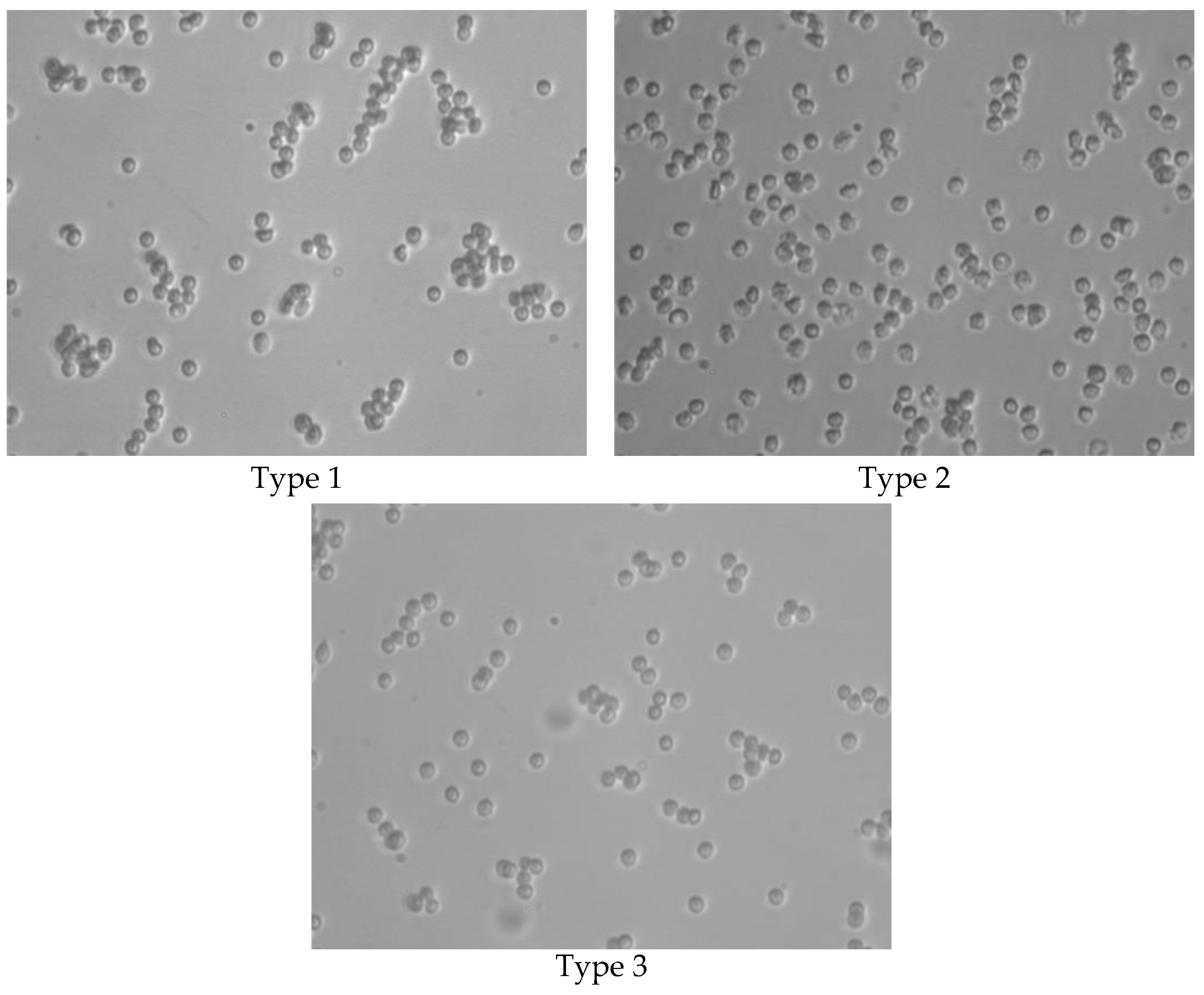Photonics 10 01386 g007