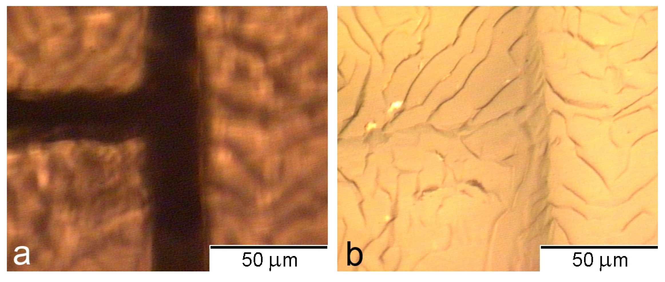 Photonics 11 00010 g003