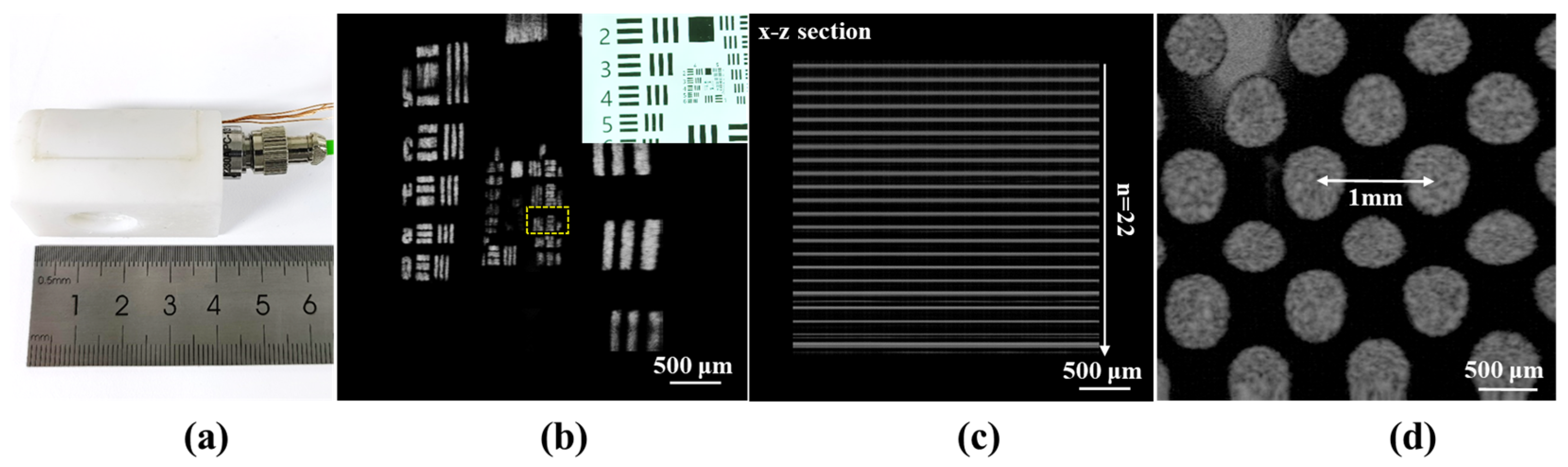 Photonics 11 00017 g003