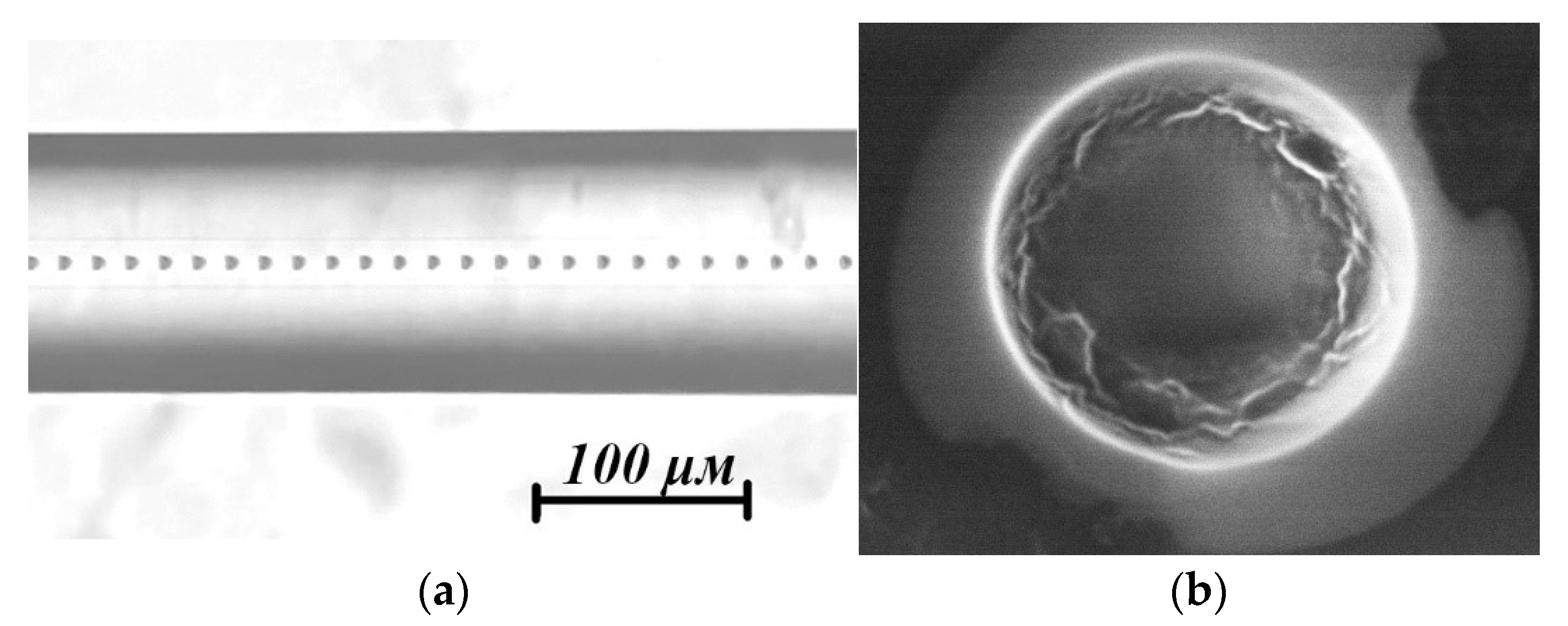 Photonics 11 00022 g001