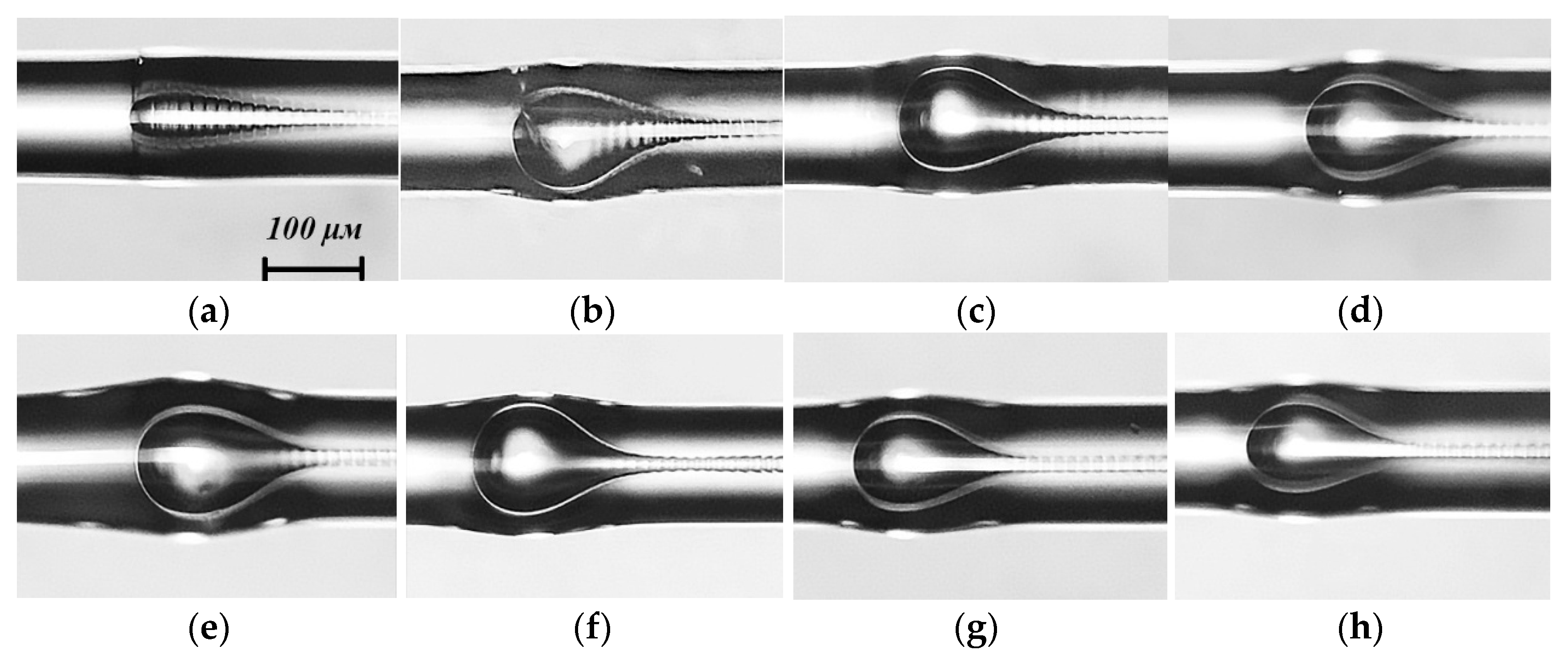 Photonics 11 00022 g003