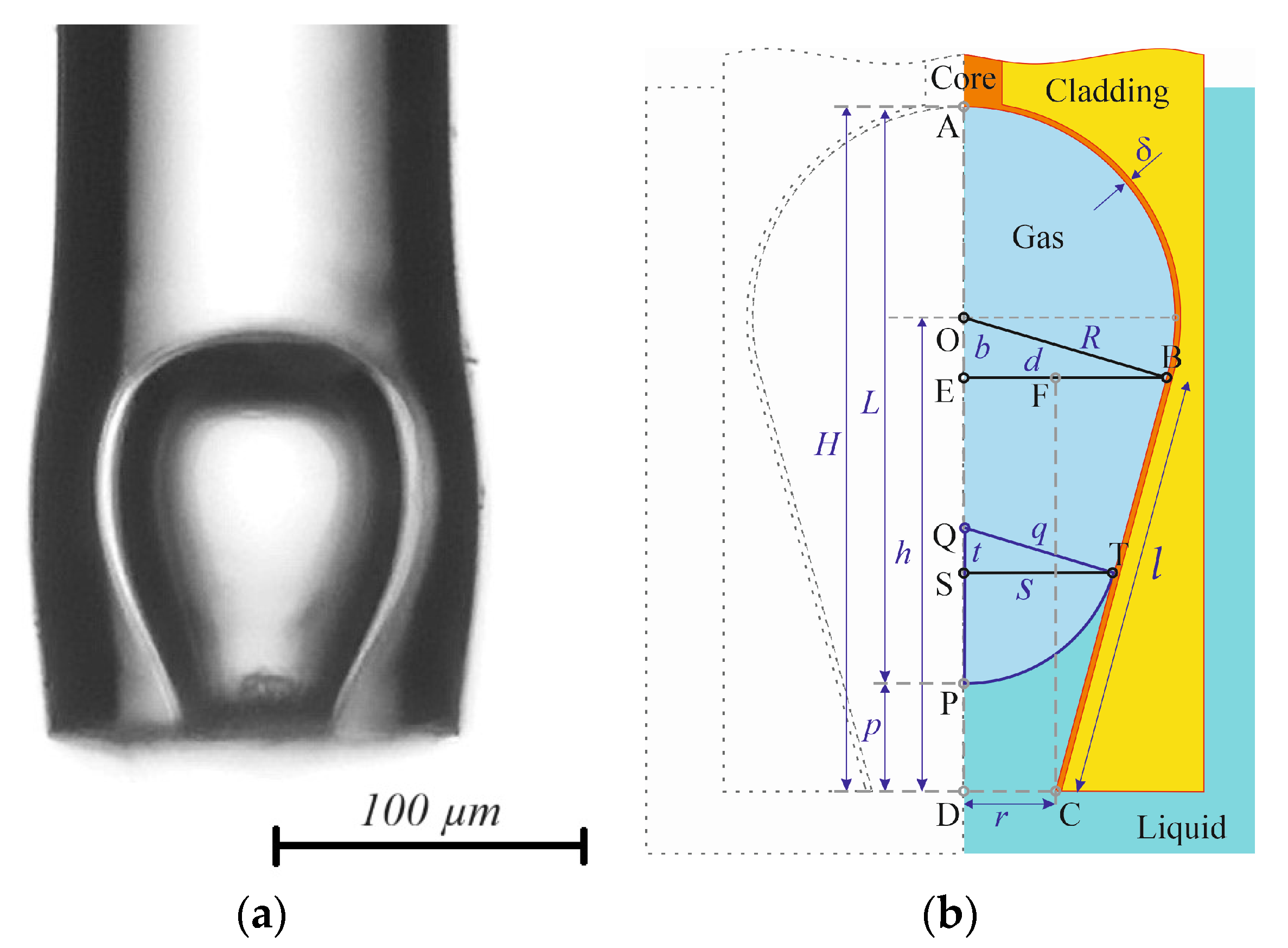 Photonics 11 00022 g006