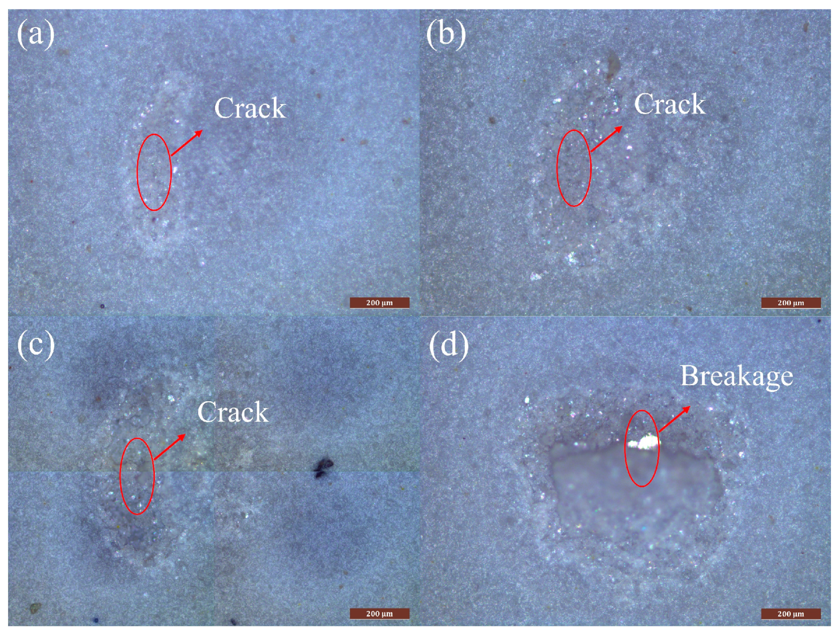 Photonics 11 00025 g010