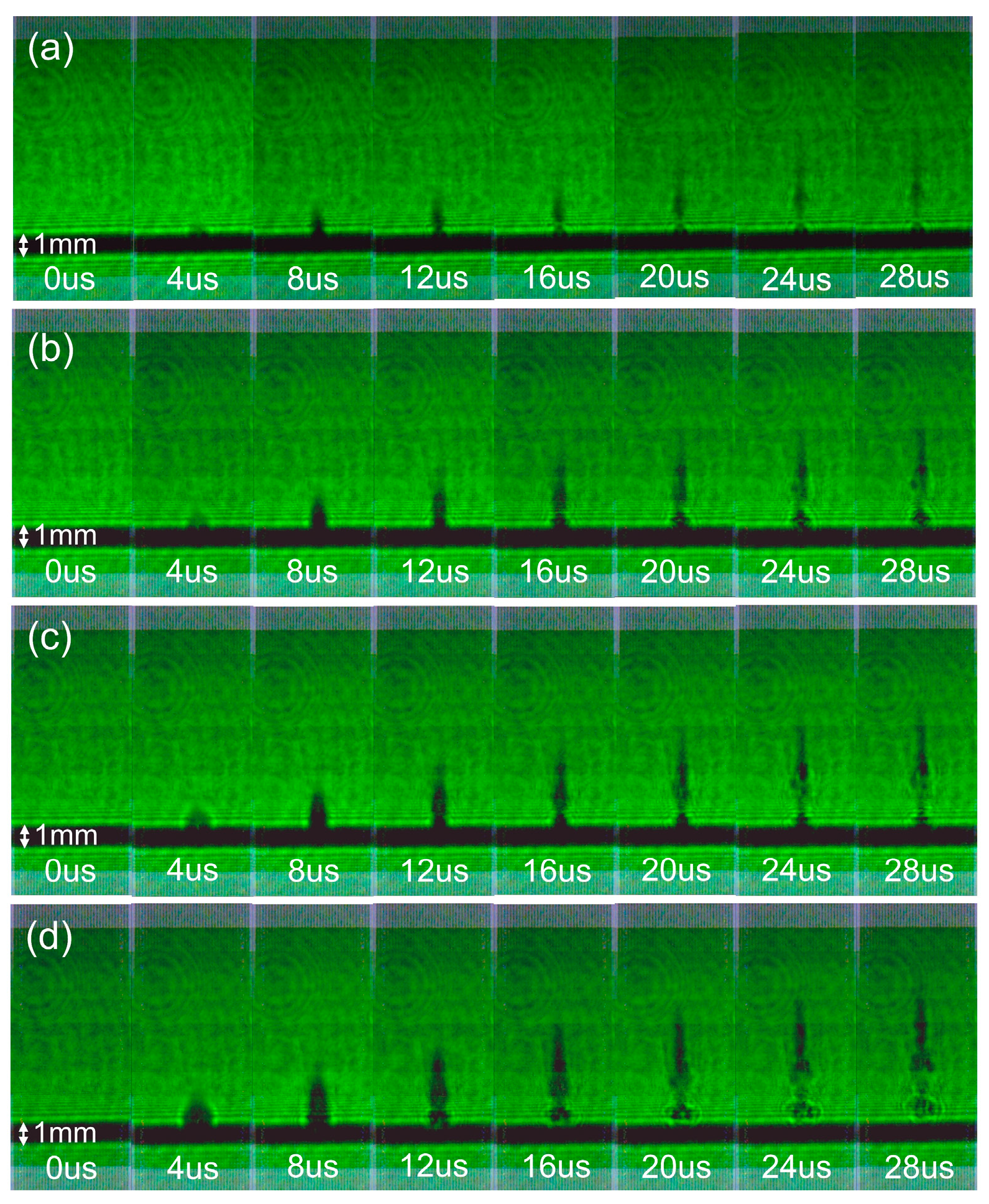 Photonics 11 00025 g013
