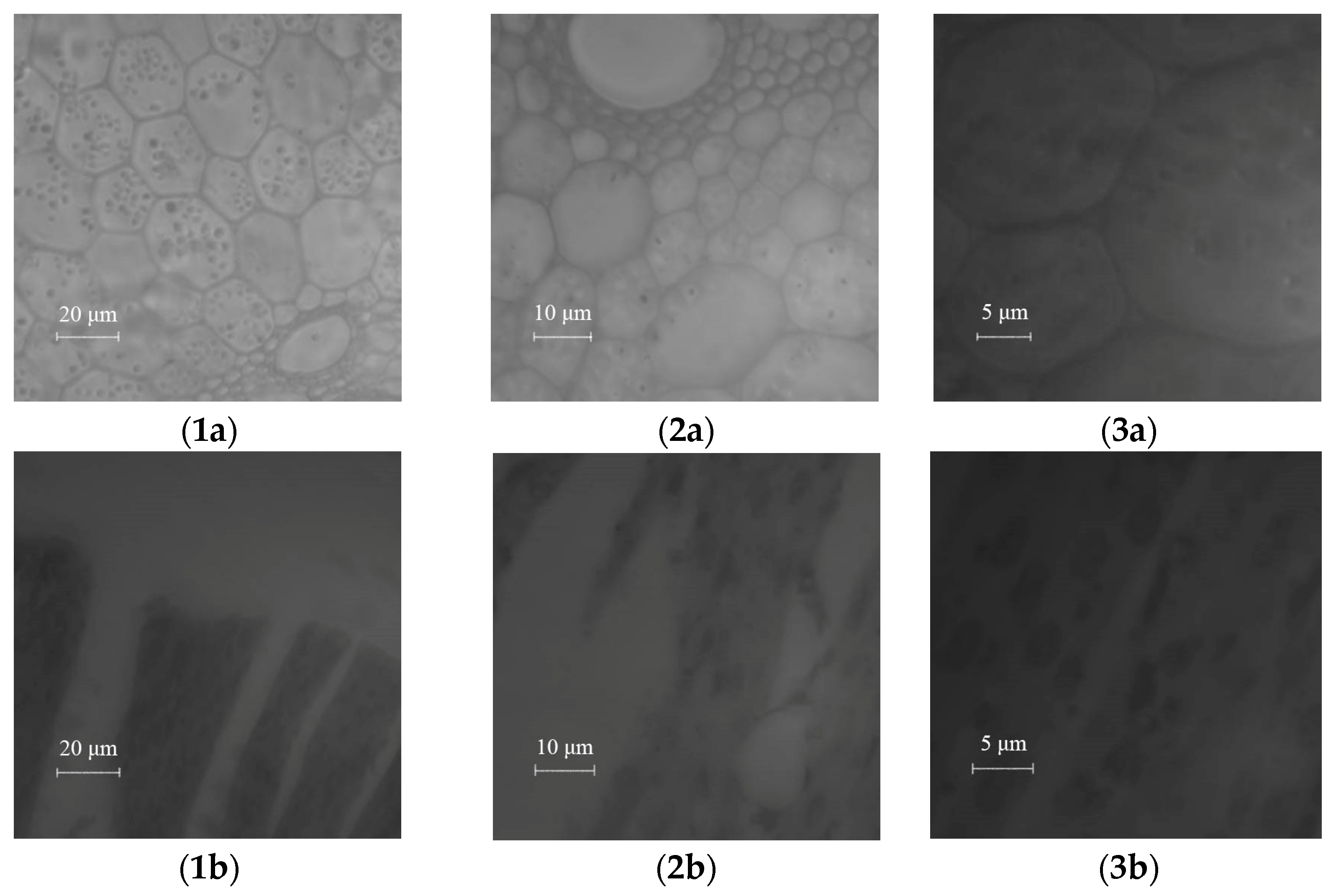 Photonics 11 00026 g006