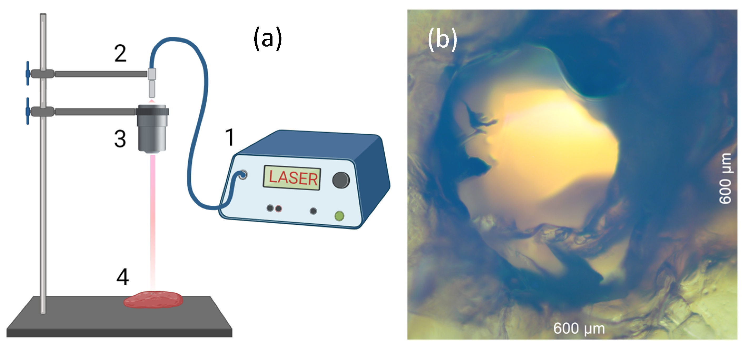 Photonics 11 00030 g005 Photonics 11 00030 g005