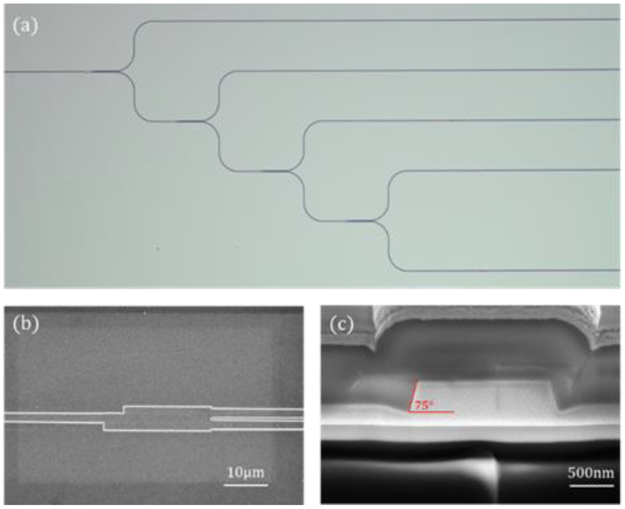 Photonics 11 00060 g003