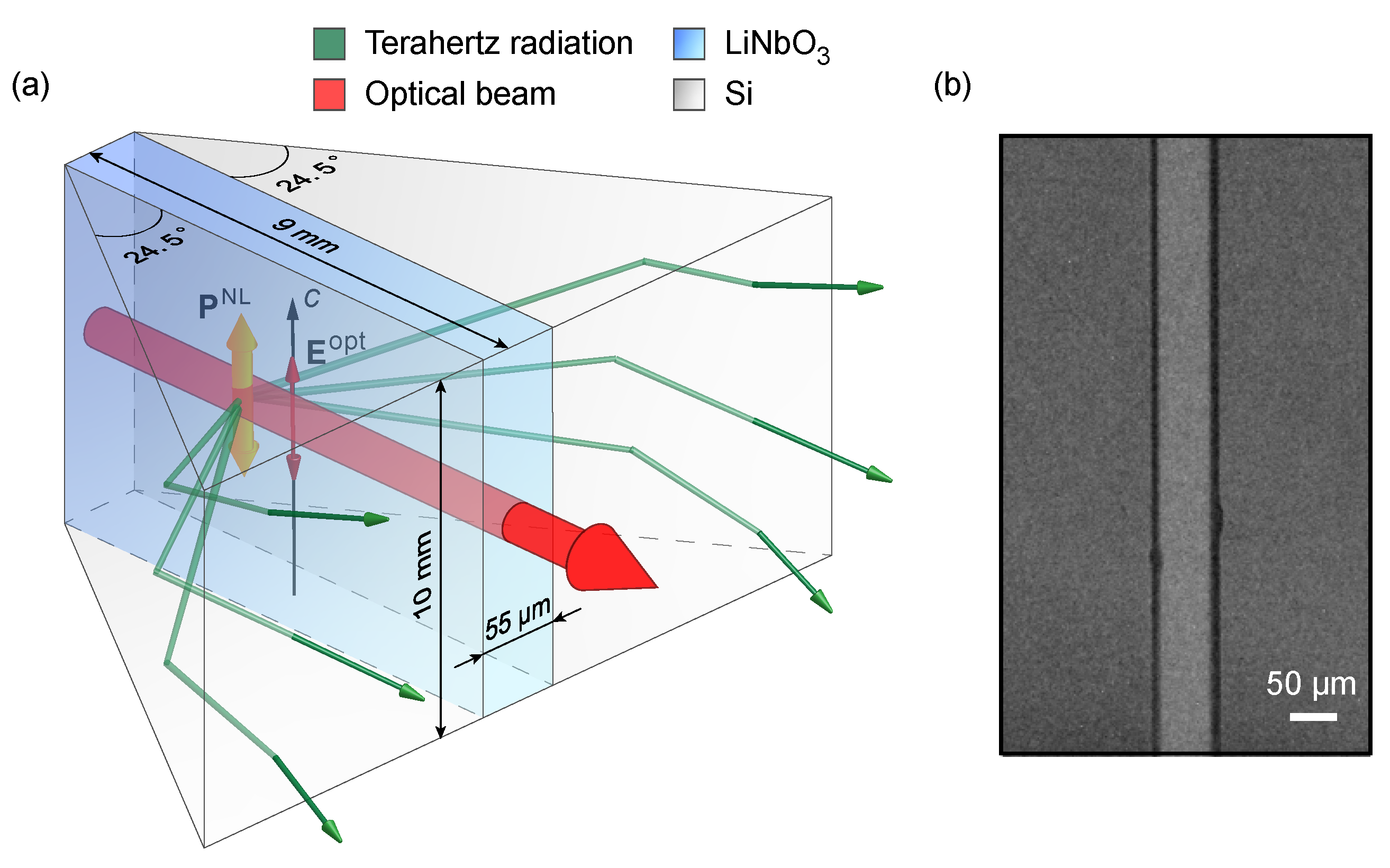 Photonics 11 00062 g001