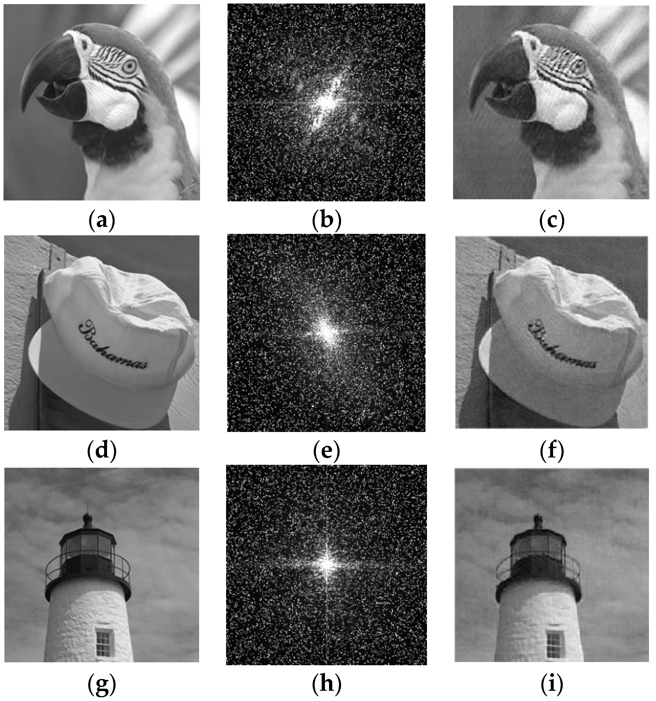 Photonics 11 00071 g007