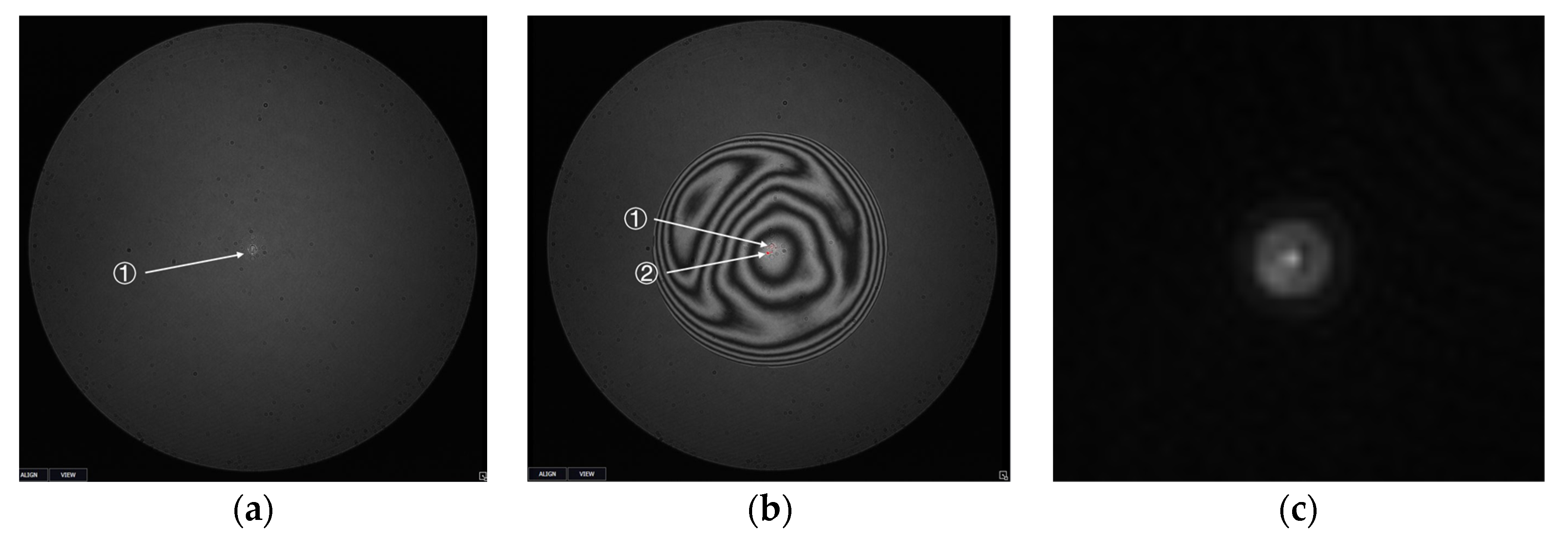 Photonics 11 00074 g010