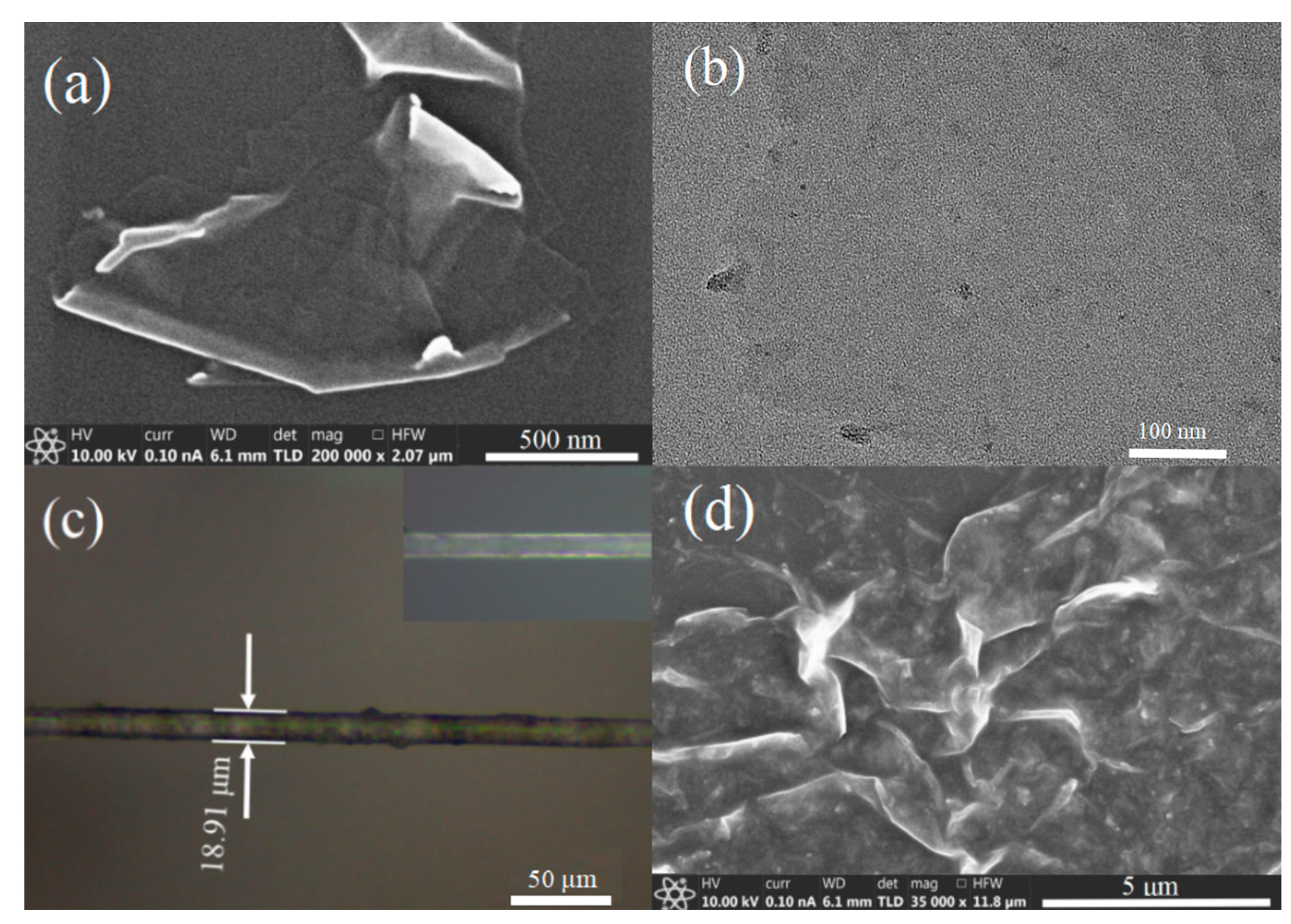 Photonics 11 00079 g001