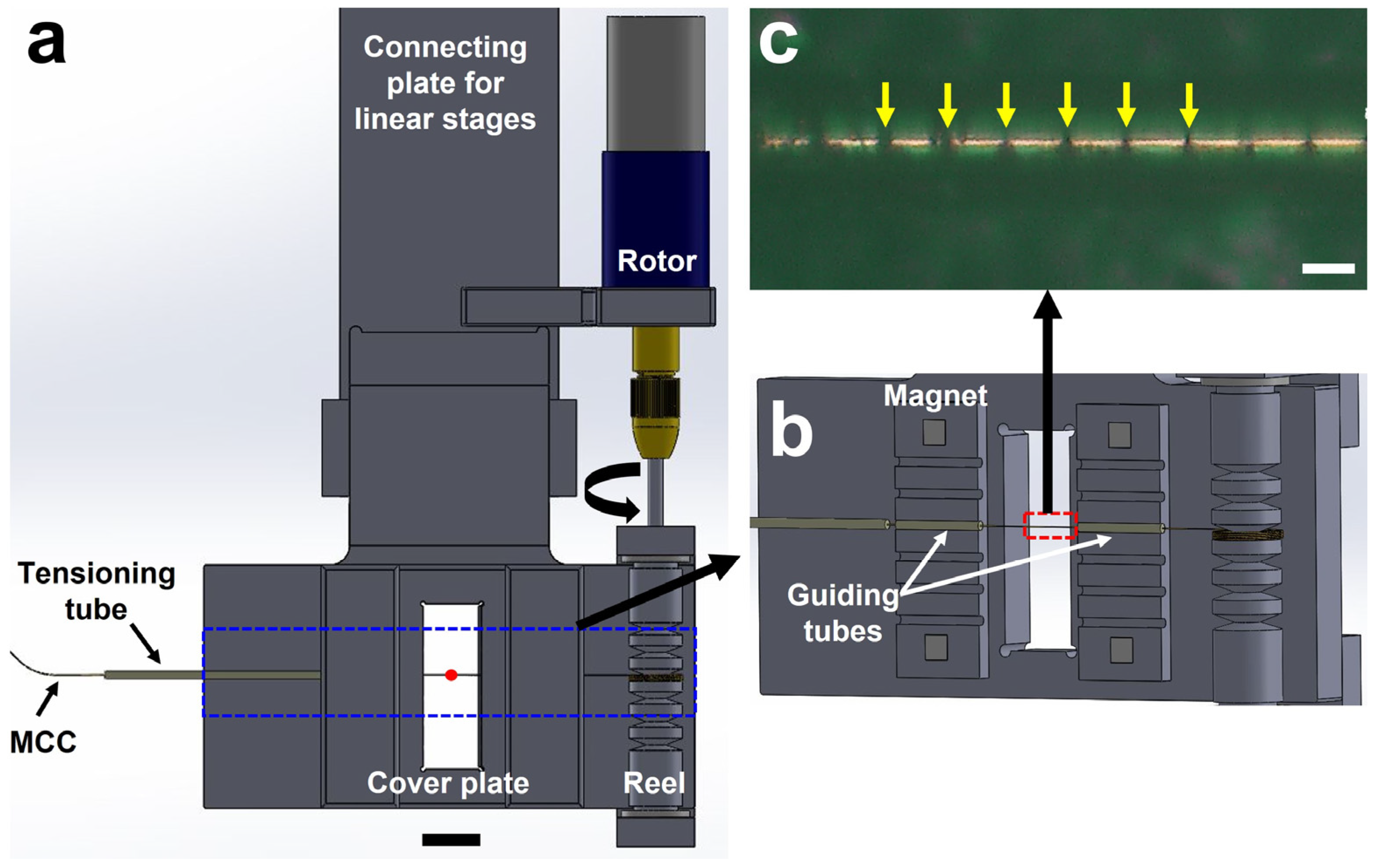Photonics 11 00095 g001