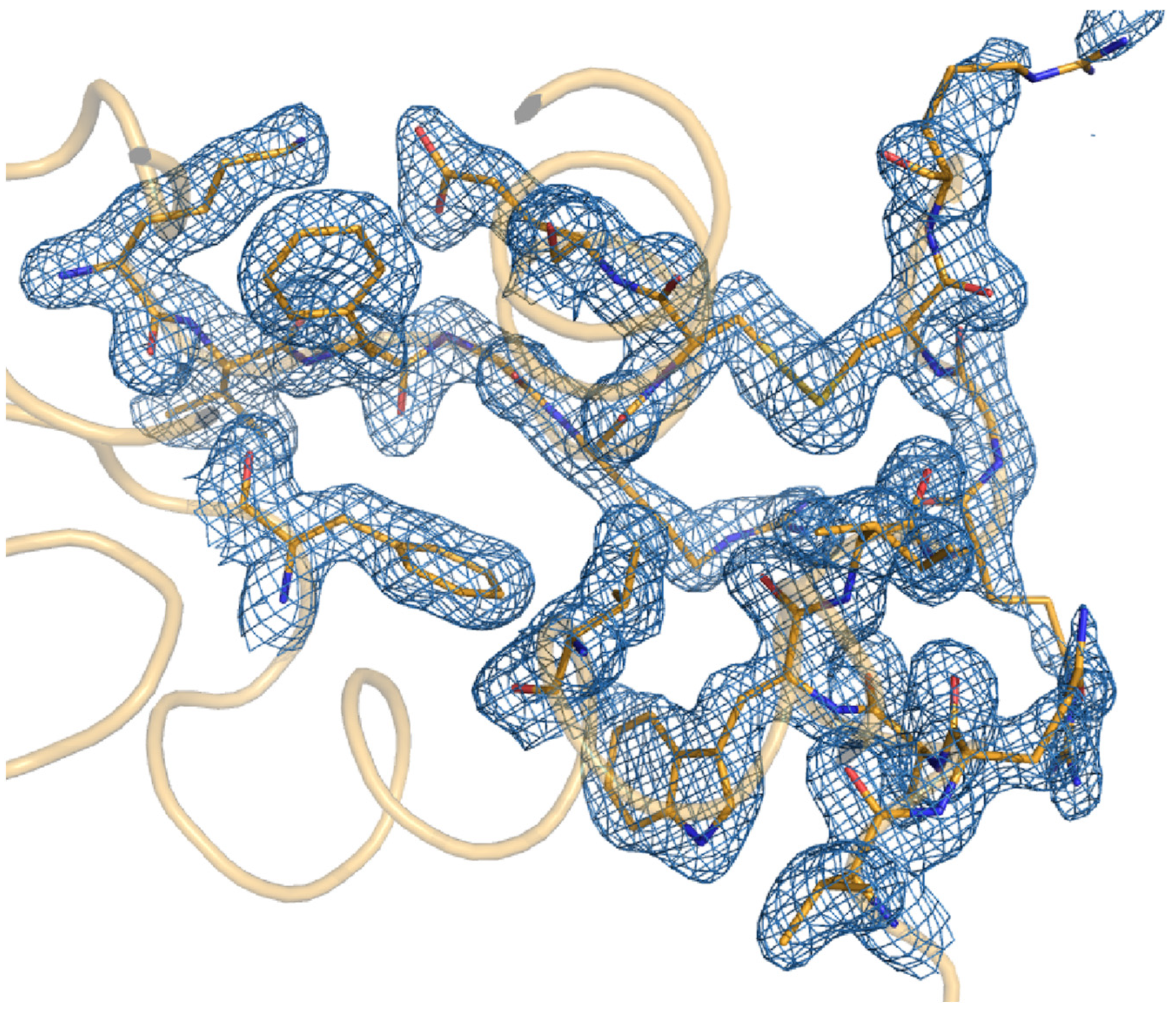 Photonics 11 00095 g003
