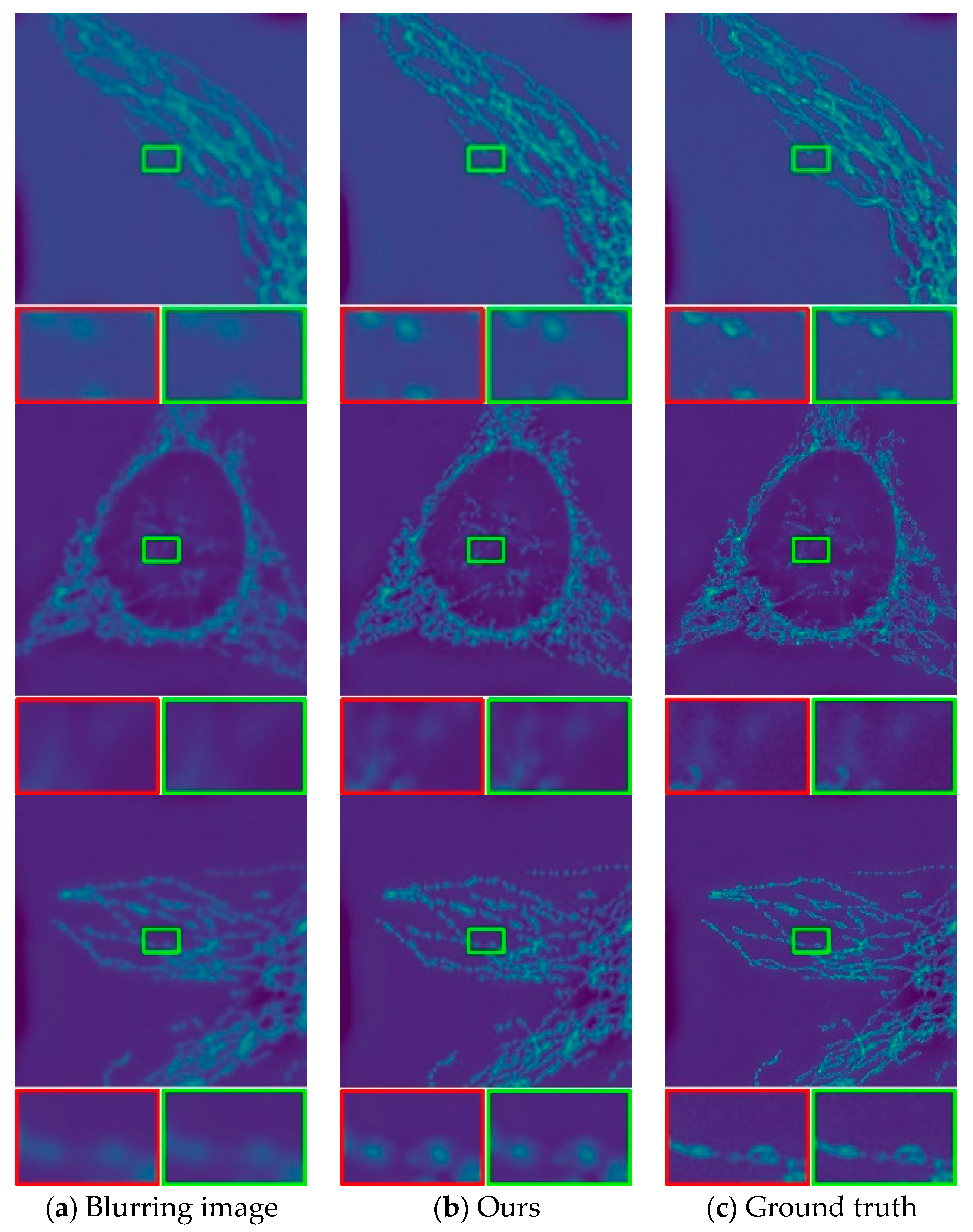 Photonics 11 00106 g004