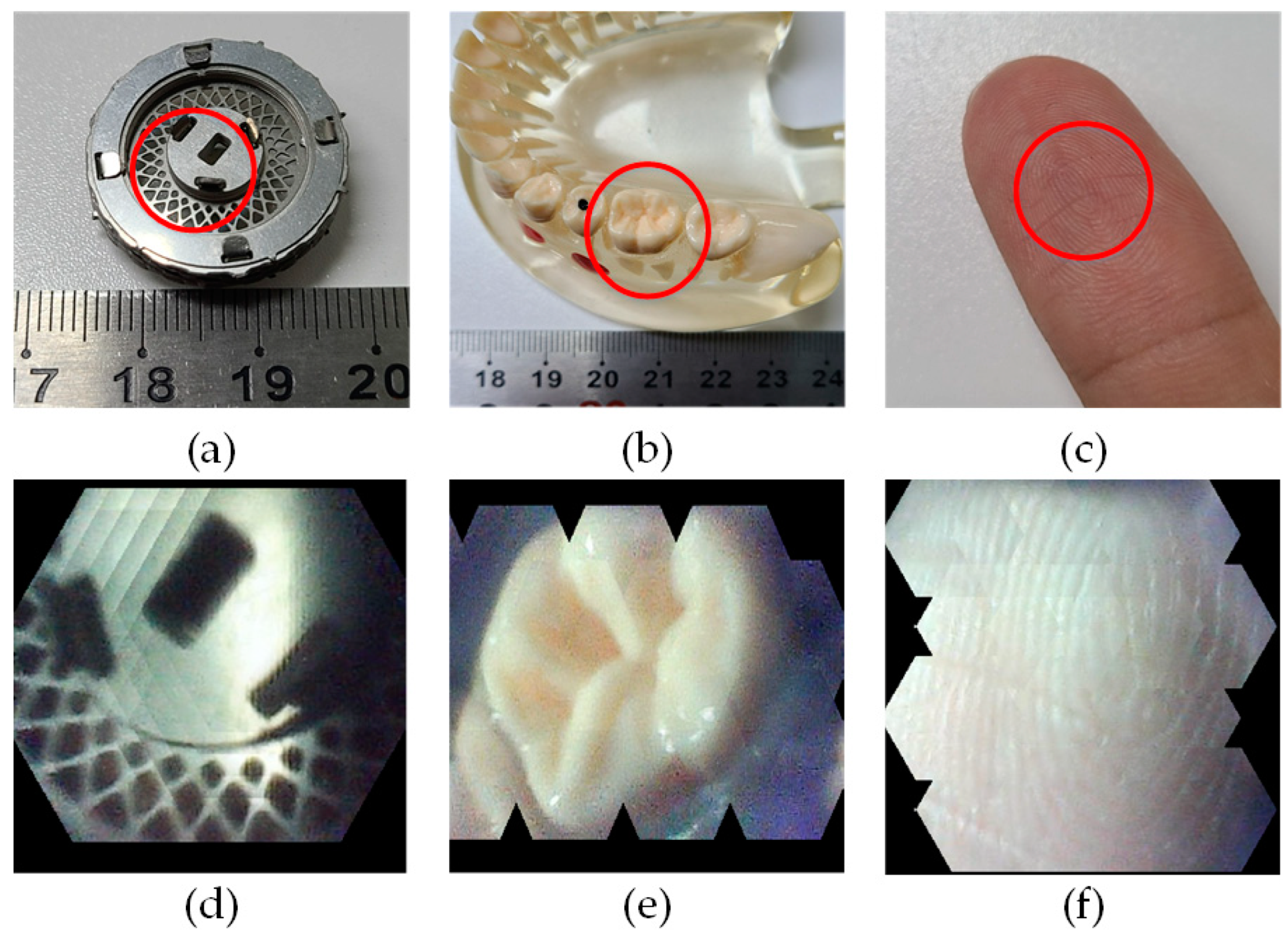 Photonics 11 00107 g013