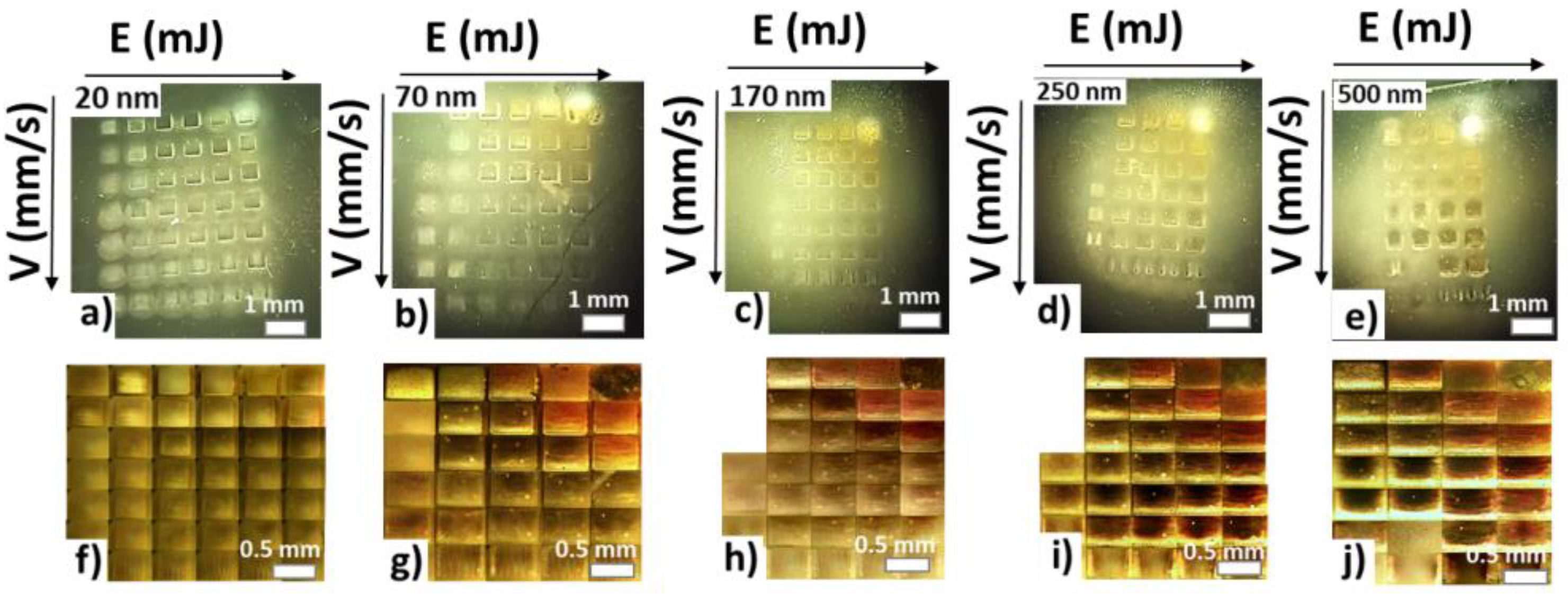 Photonics 11 00119 g004