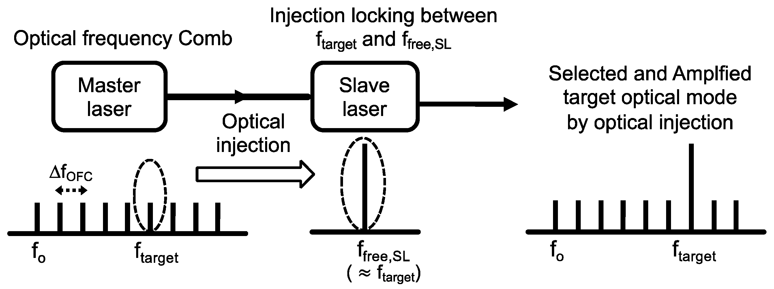 Photonics 11 00143 g001