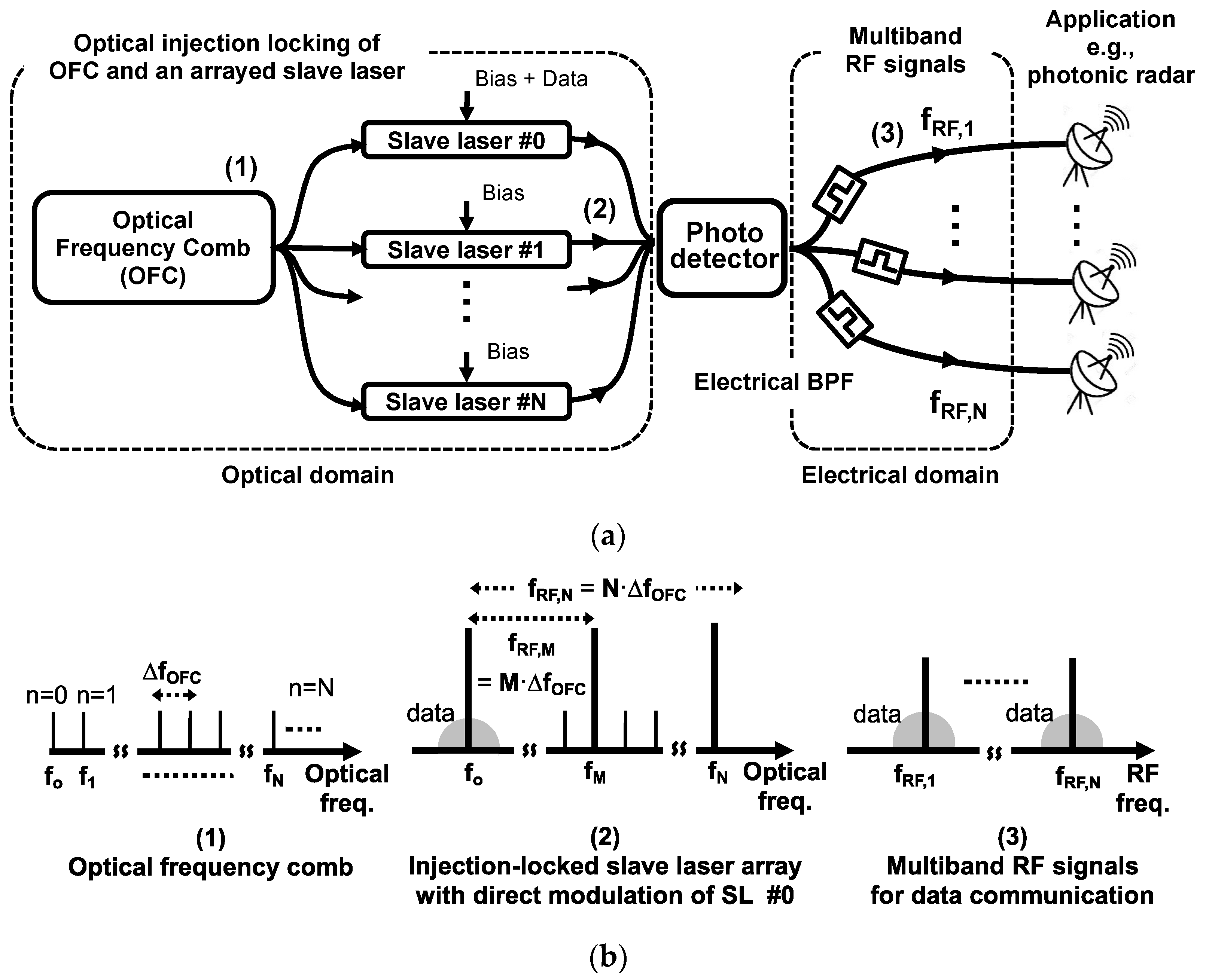 Photonics 11 00143 g003