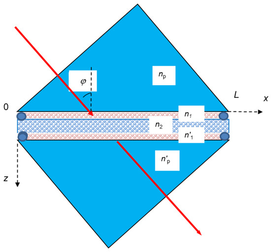 ユウ 41467_2024_50789_Fig3_HTML.png