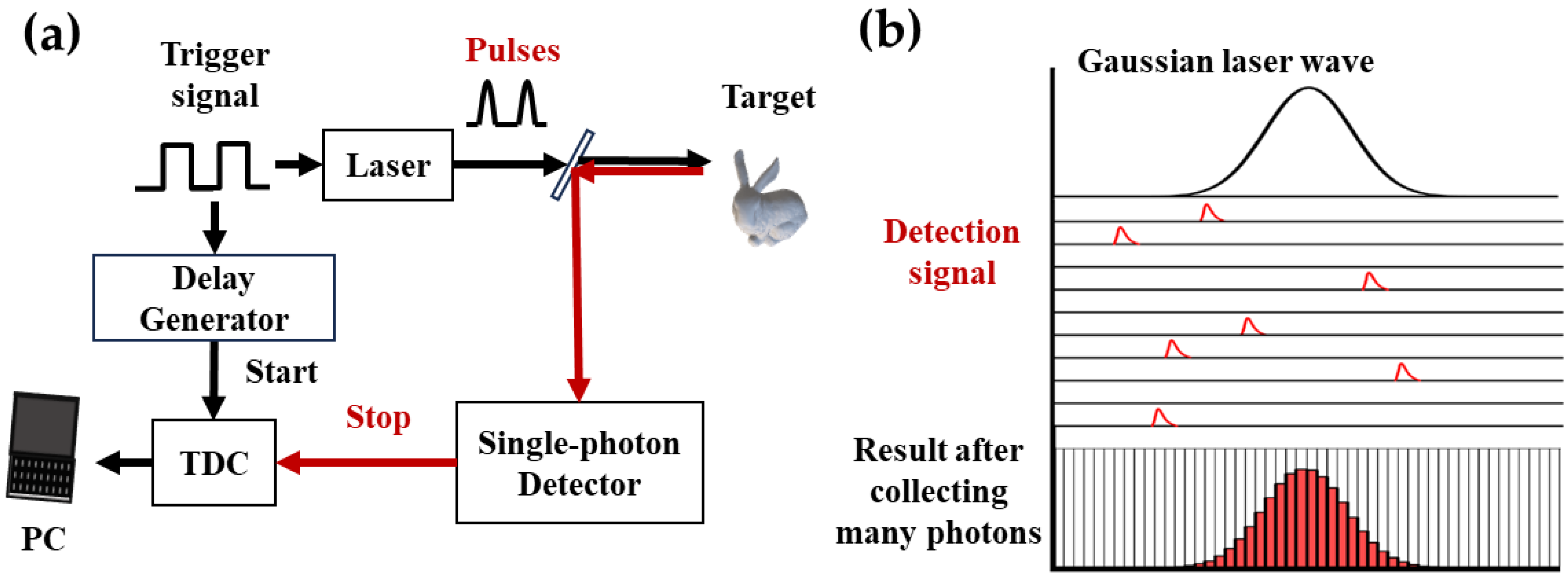Photonics 11 00181 g001