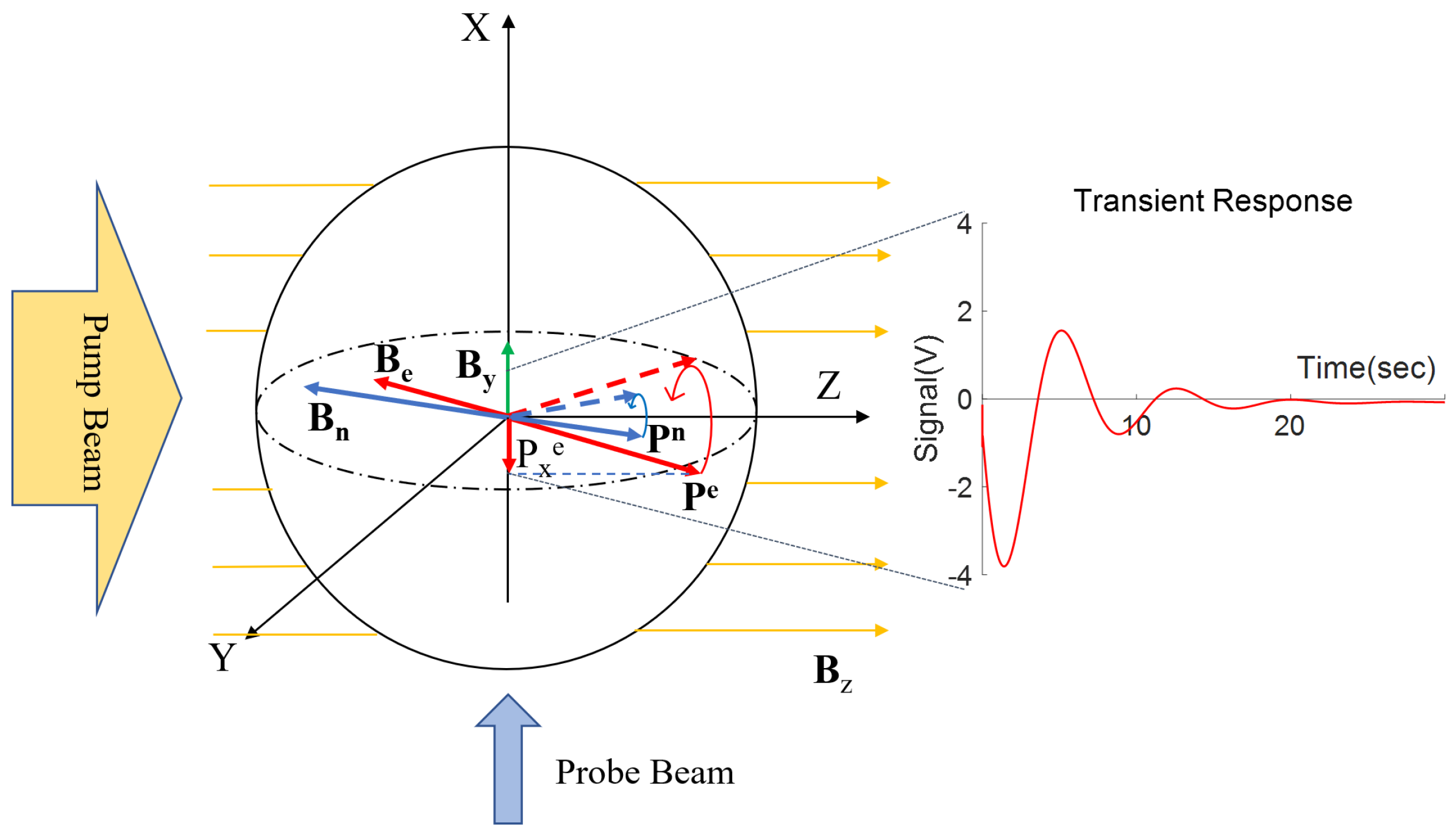 Photonics 11 00182 g001
