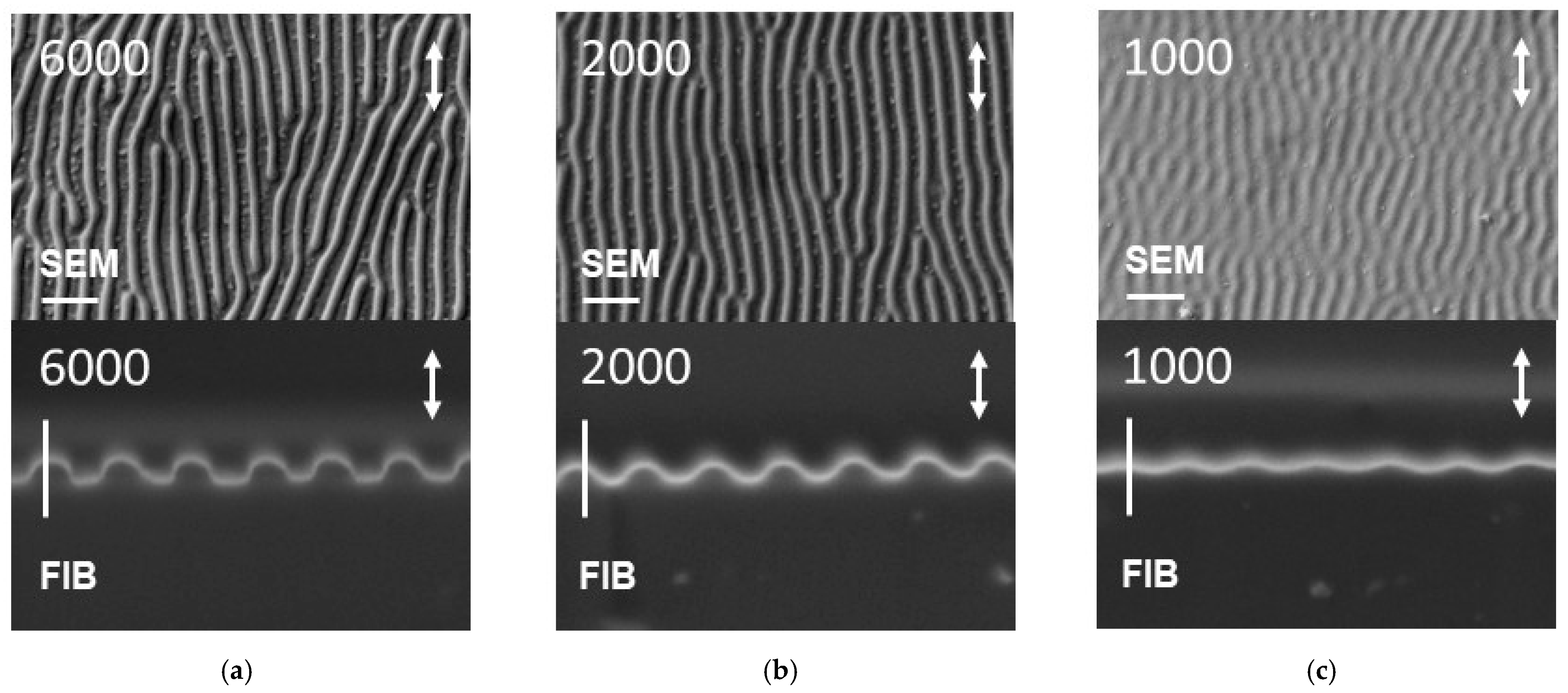 Photonics 11 00184 g006
