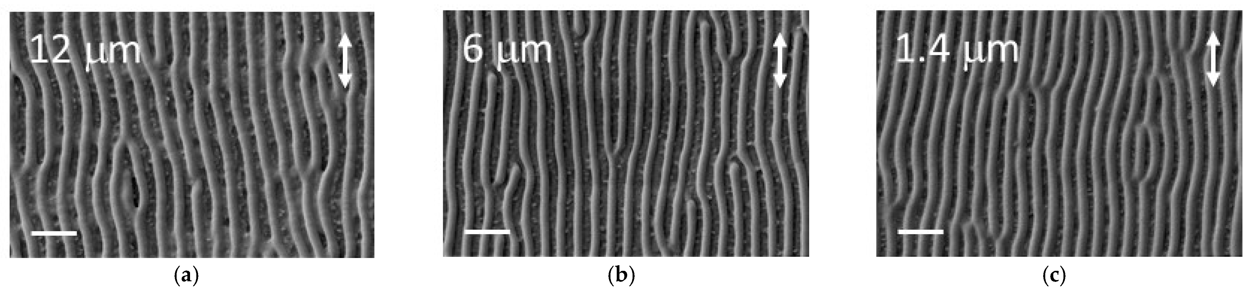 Photonics 11 00184 g008