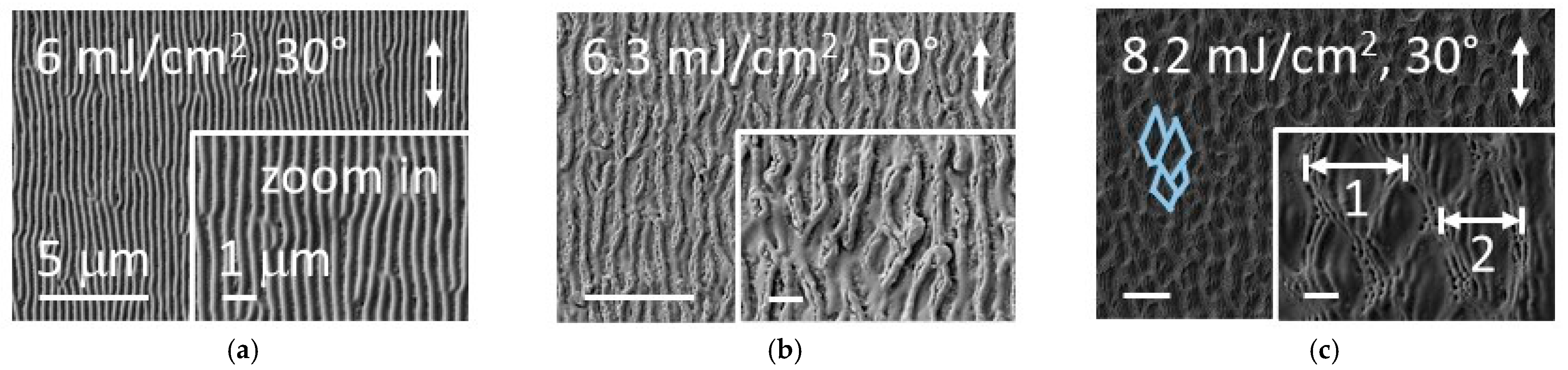 Photonics 11 00184 g010