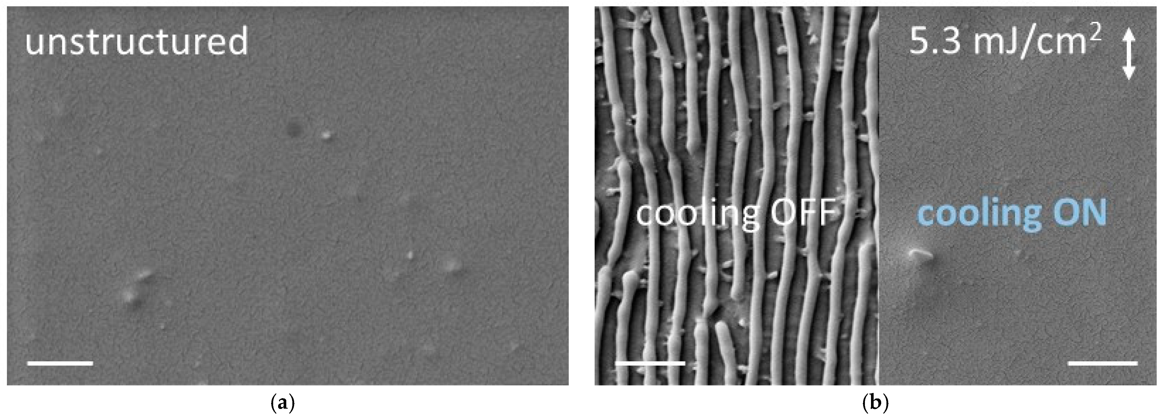 Photonics 11 00184 g011