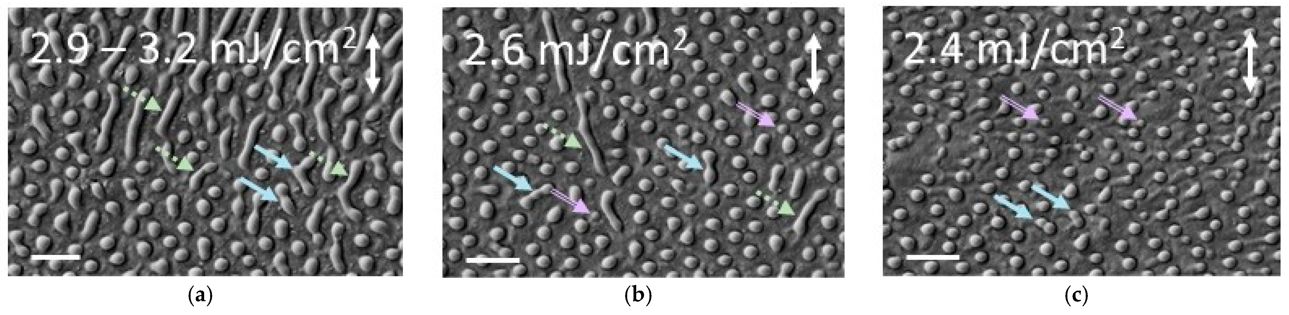 Photonics 11 00184 g013