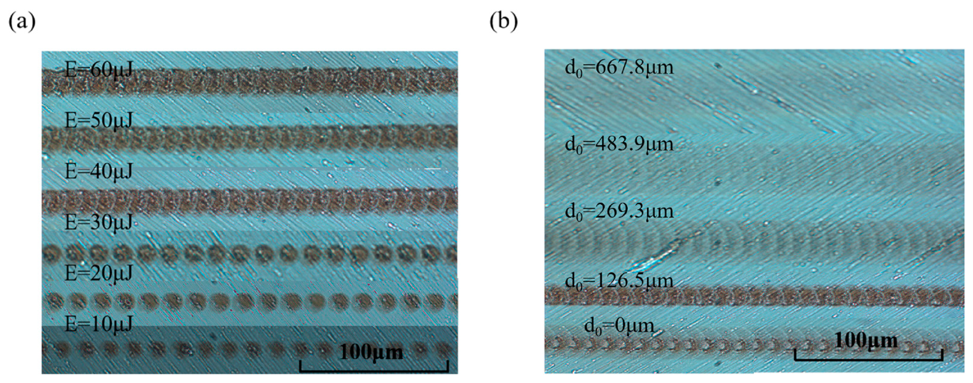 Photonics 11 00189 g008