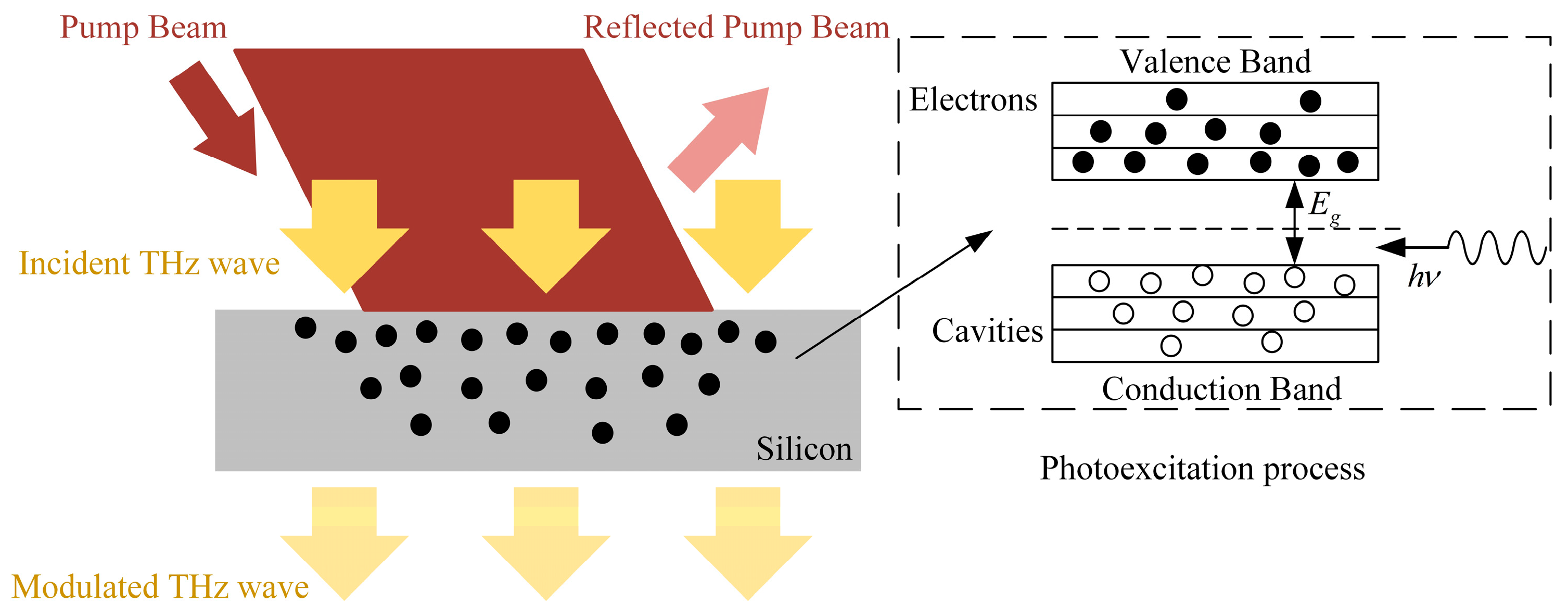 Photonics 11 00202 g001