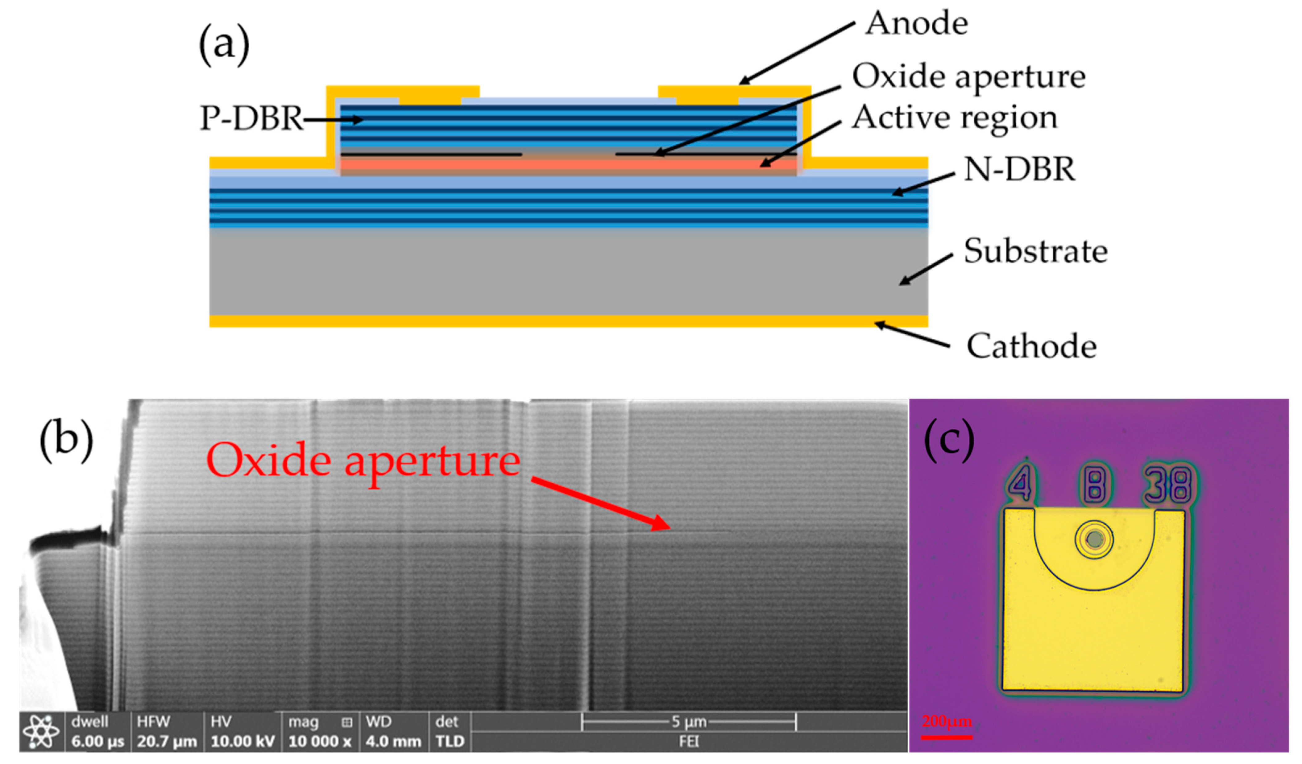 Photonics 11 00207 g001