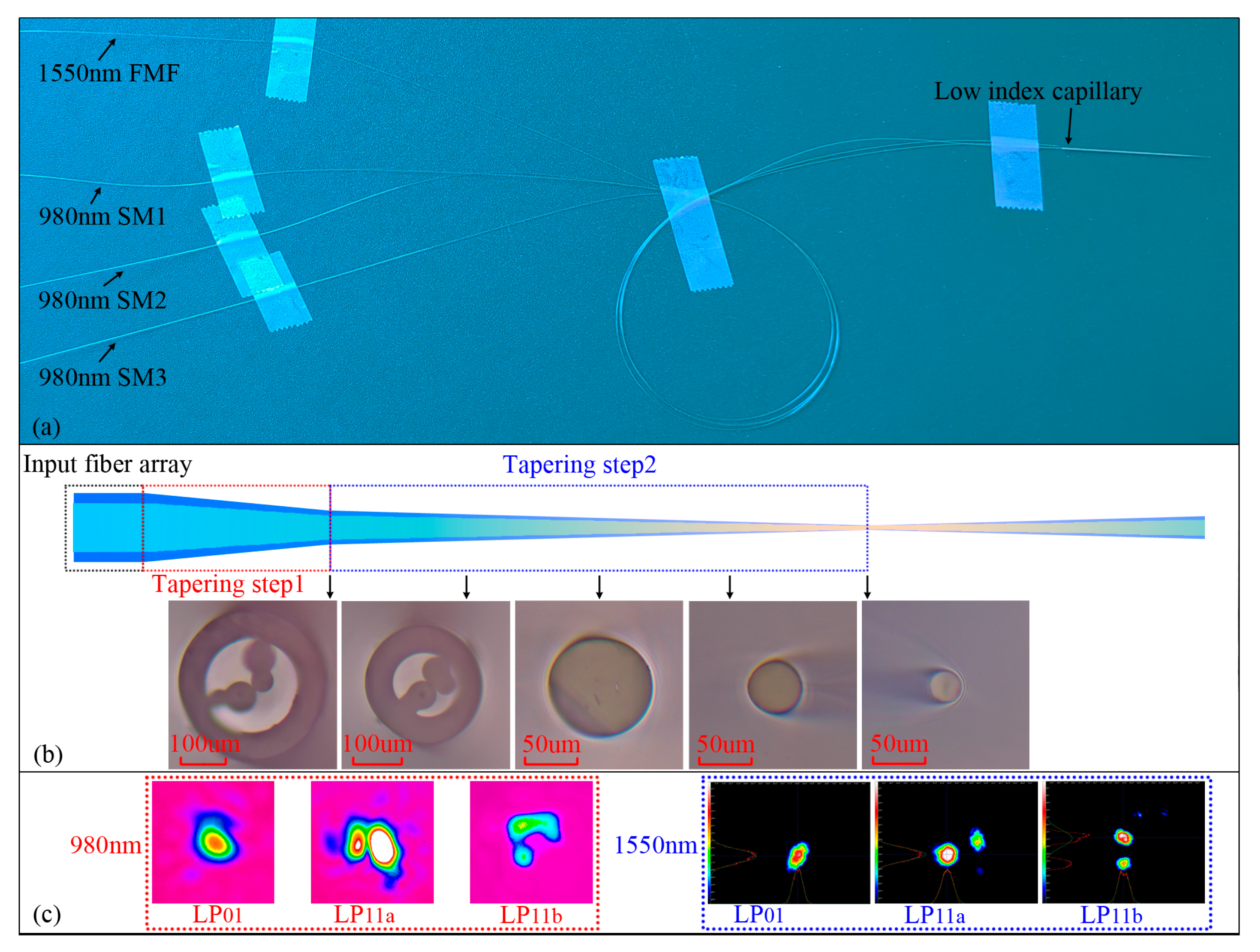 Photonics 11 00208 g006