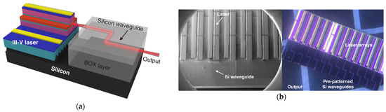 On-Chip Lasers for Silicon Photonics