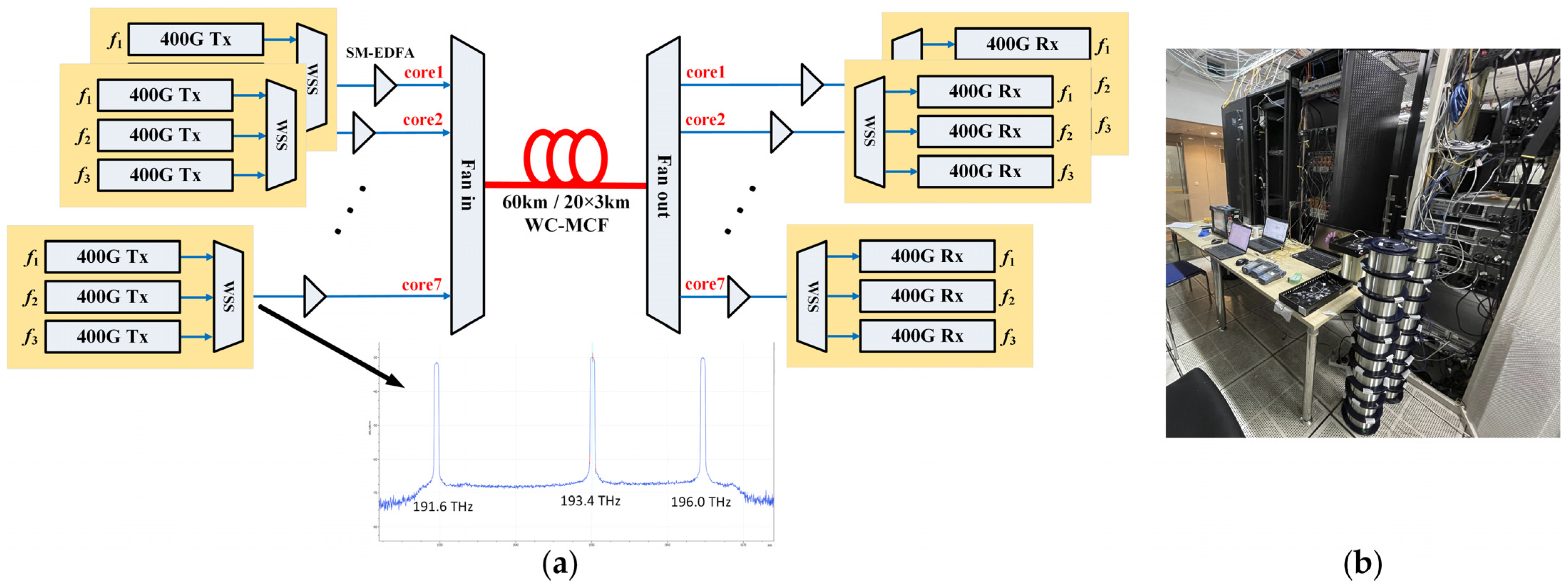 Photonics 11 00231 g002