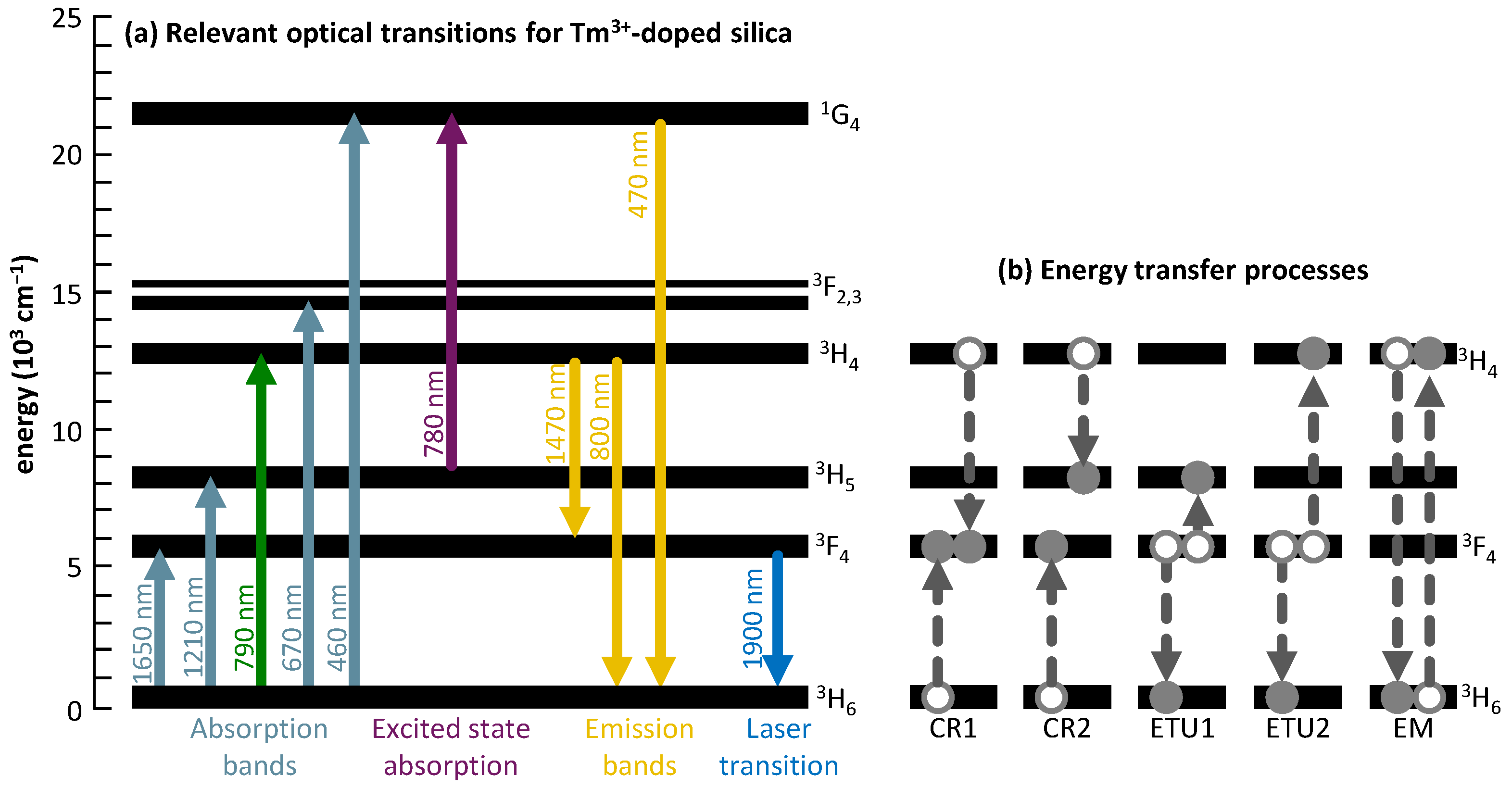 Photonics 11 00246 g001
