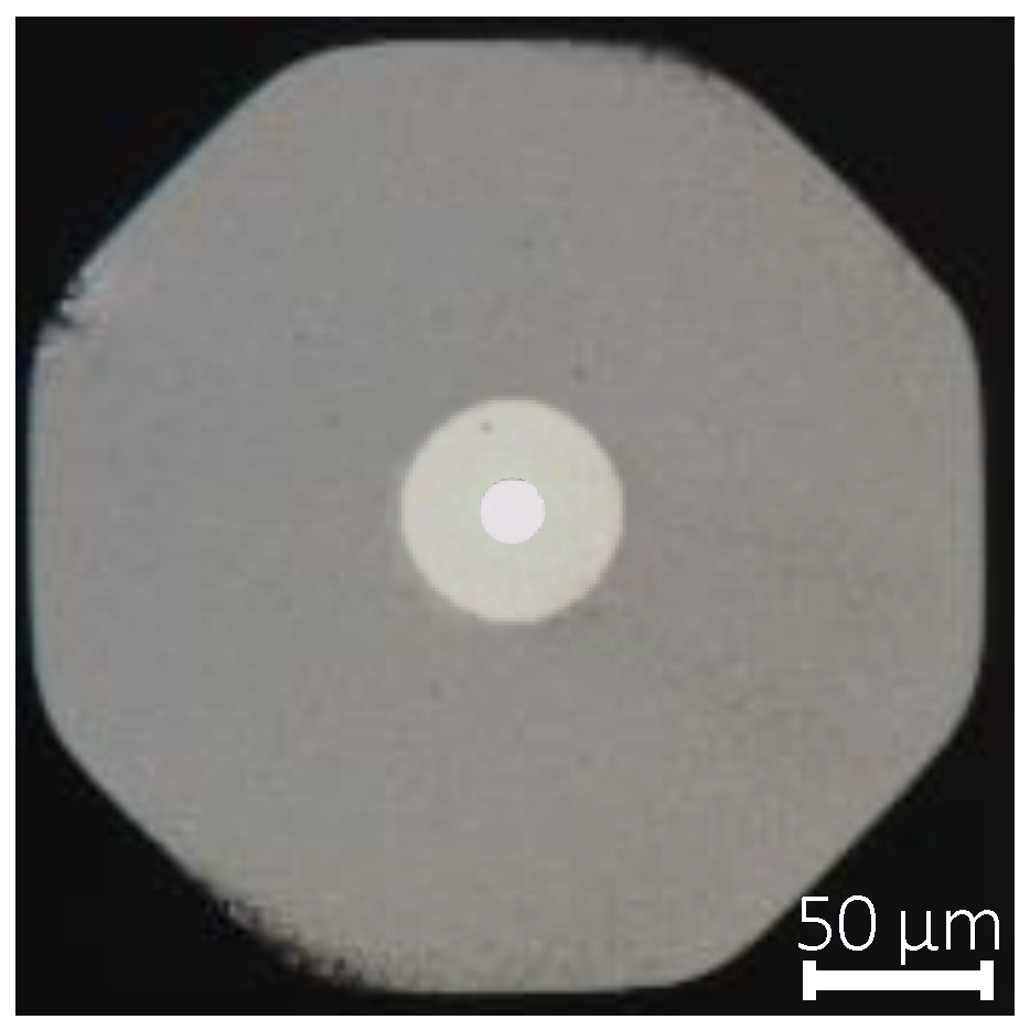 Photonics 11 00246 g005